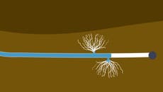 Fracking explained: How shale gas is extracted