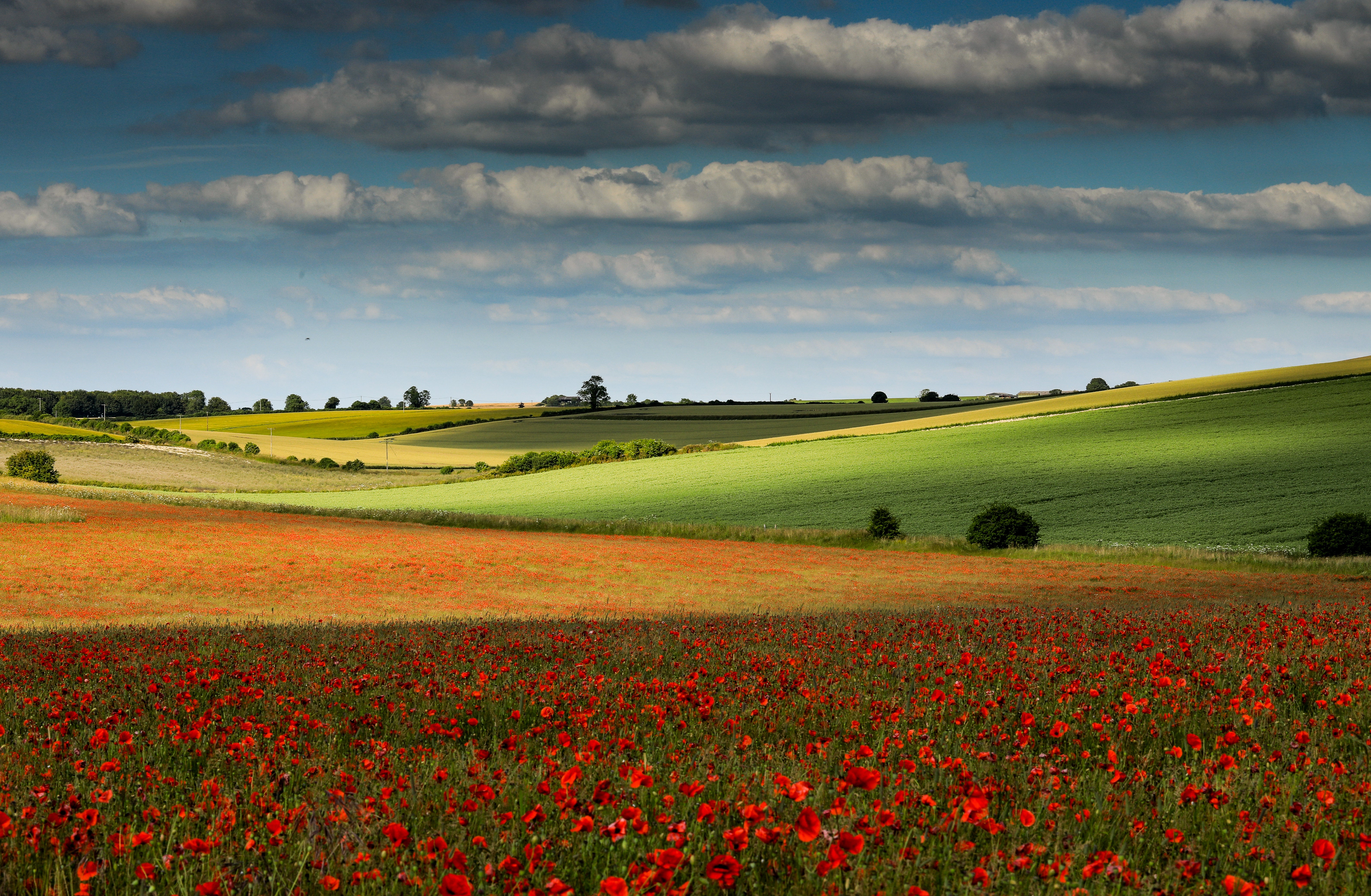 Sixpenny Handley