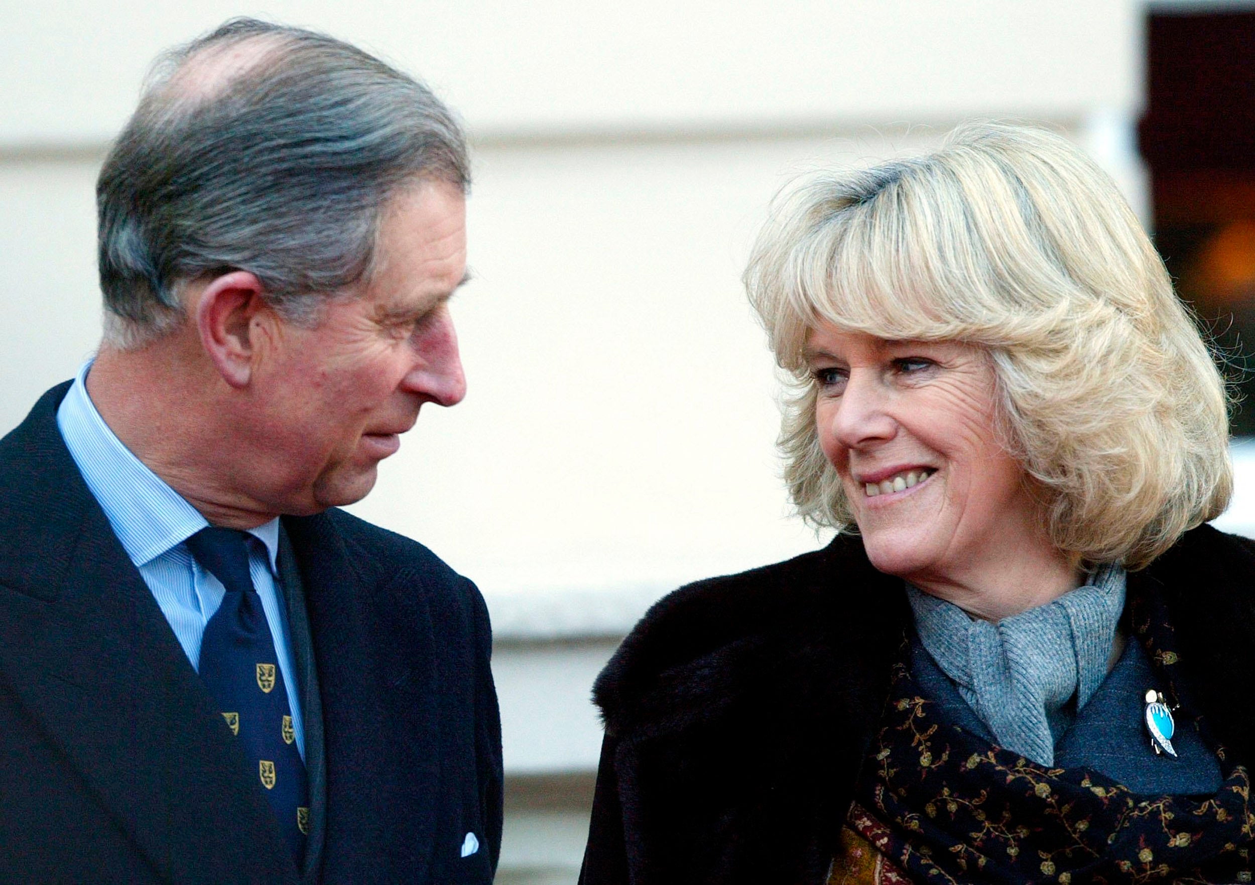 Ever since they first met for drinks in 1971, it was apparent that Camilla was the ideal match for Charles. The couple are seen here in the garden of Clarence House, London, 21 February 2005