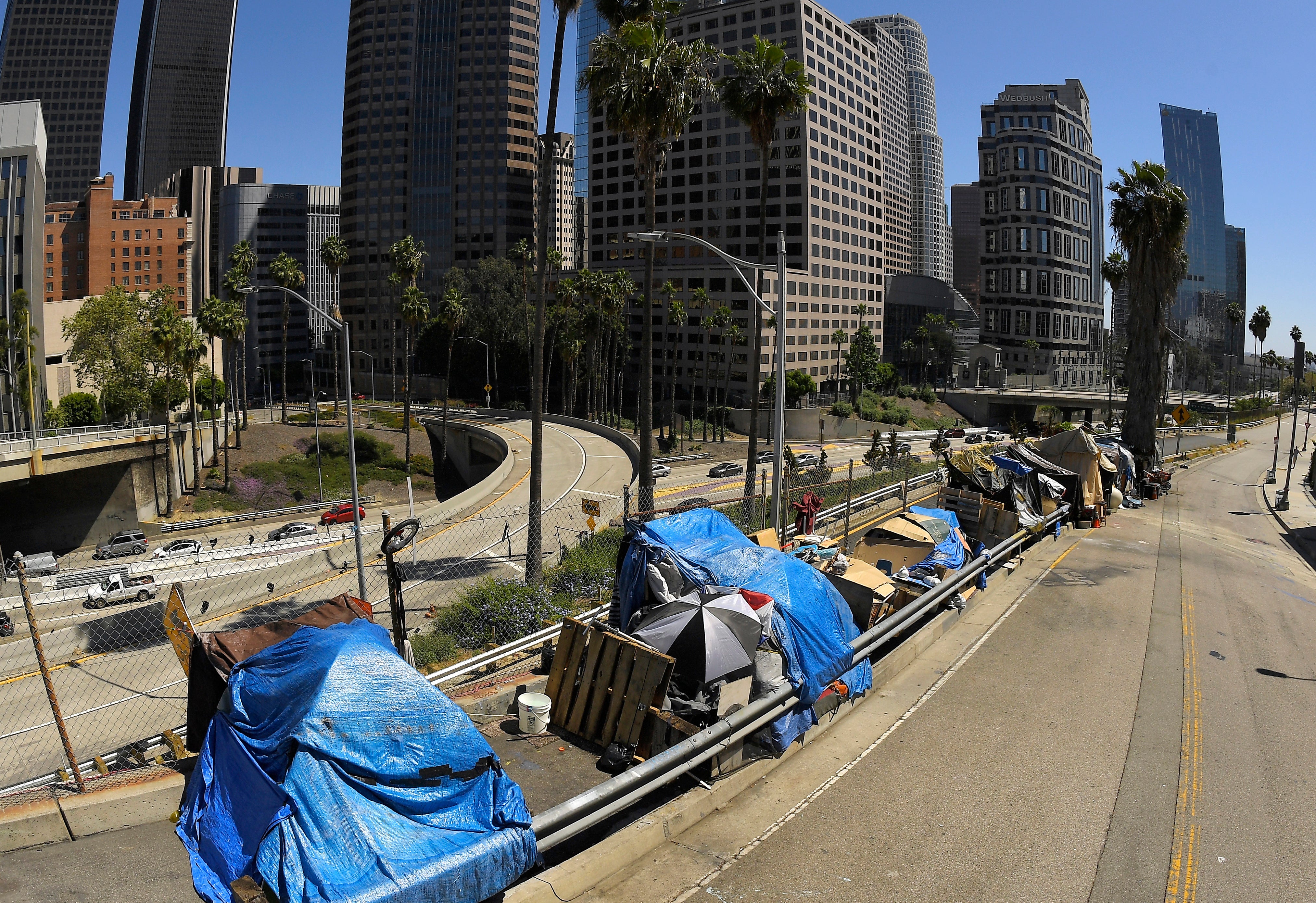 Los Angeles Homeless Count