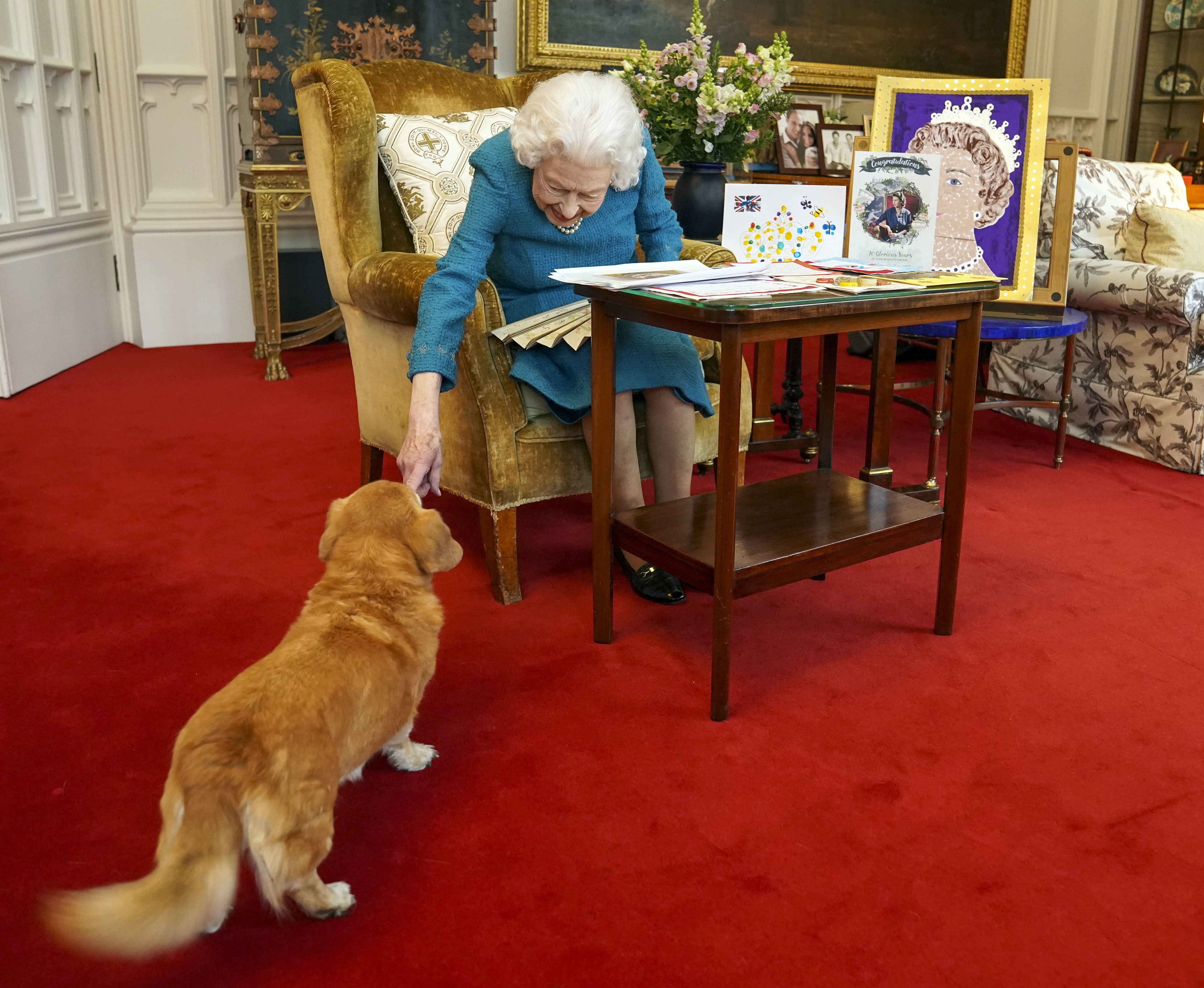 The Queen’s corgis have a history of biting people, including the Queen herself 