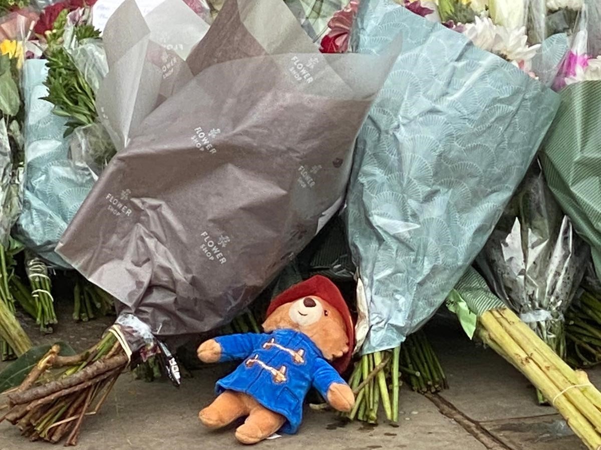 A Paddington Bear is found among the flowers outside the palace