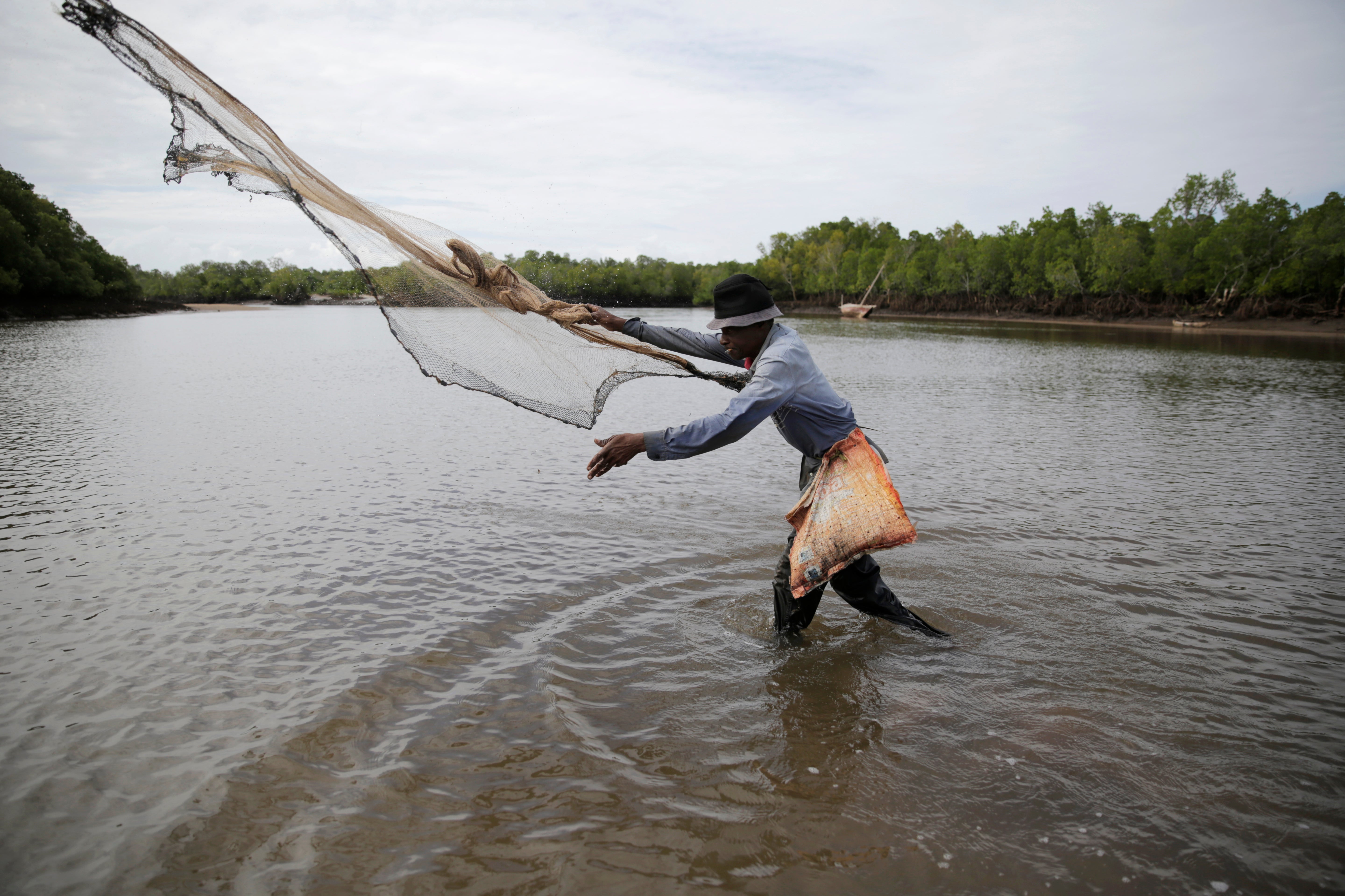 Climate Carbon Markets
