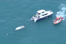 Five dead after ‘boat collides with whale’ in New Zealand