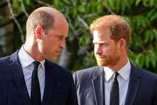 Are William and Harry the best of friends again? Don’t overthink it