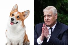 Prince Andrew and Sarah Ferguson to take the Queen’s corgis