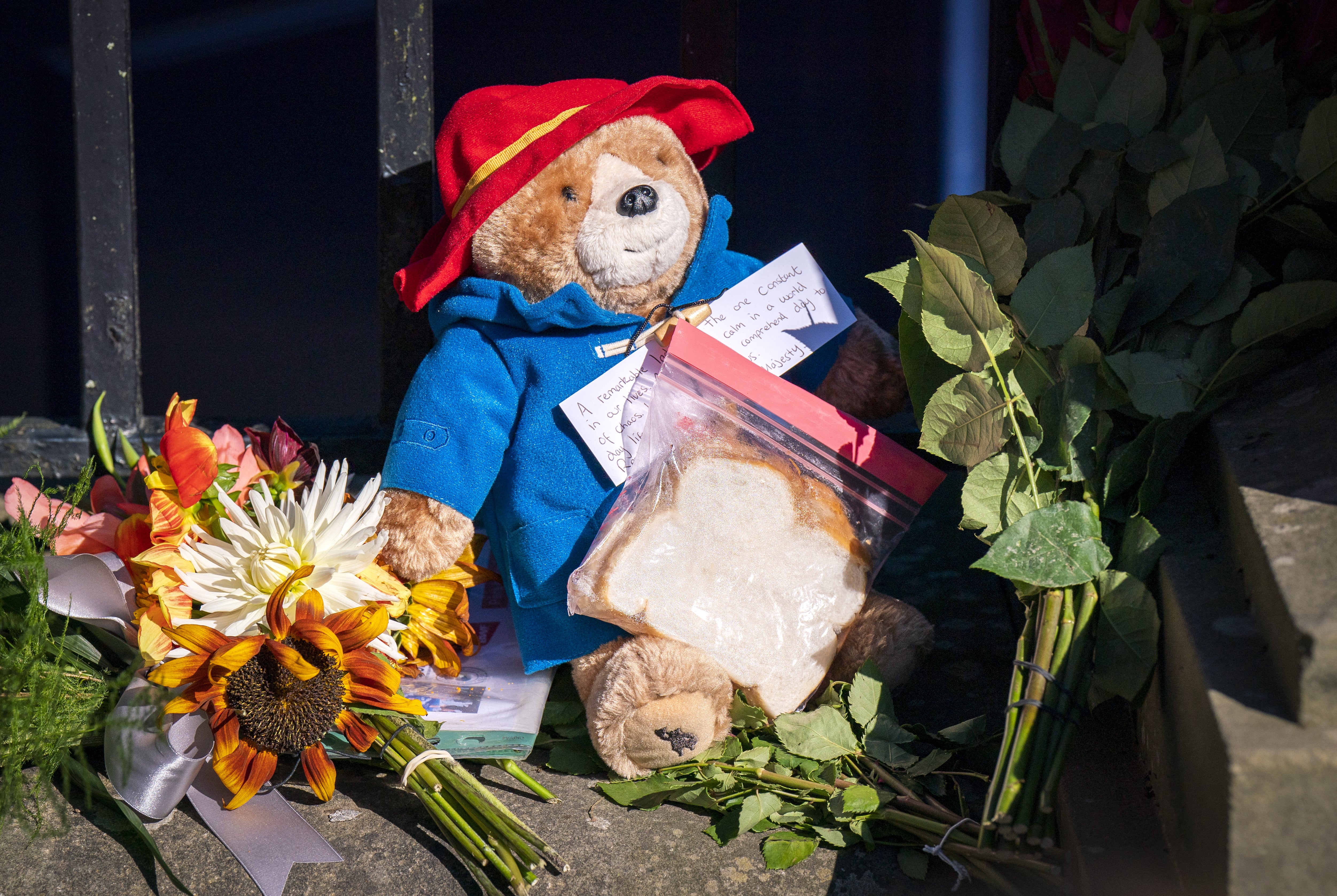 A Paddington Bear toy and marmalade sandwich is left amongst flowers (Jane Barlow/PA)