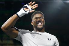 Tyson Fury fight ‘a cash-out’ for Anthony Joshua, promoter Lou DiBella claims