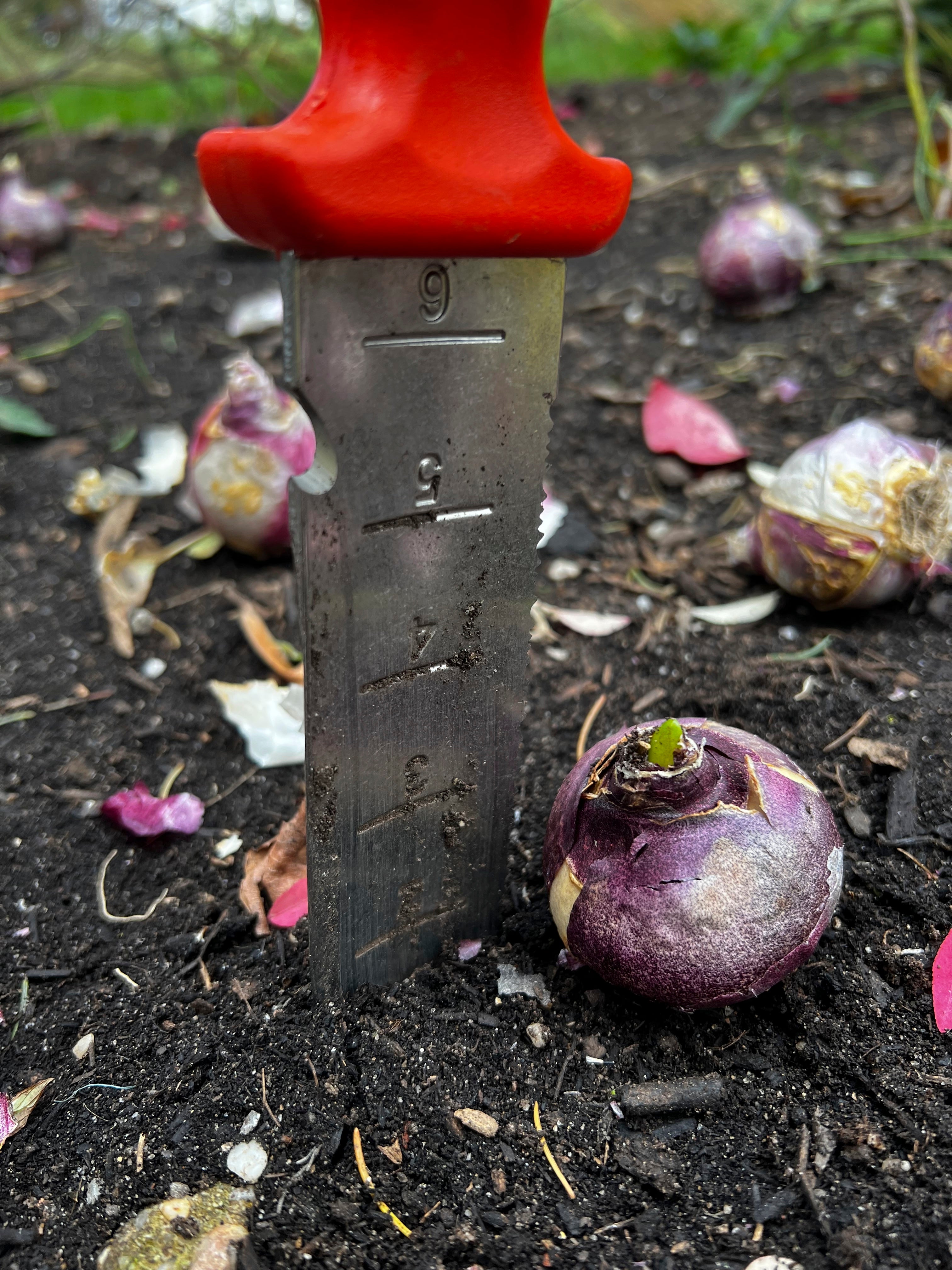 Gardening Late-Season Tips