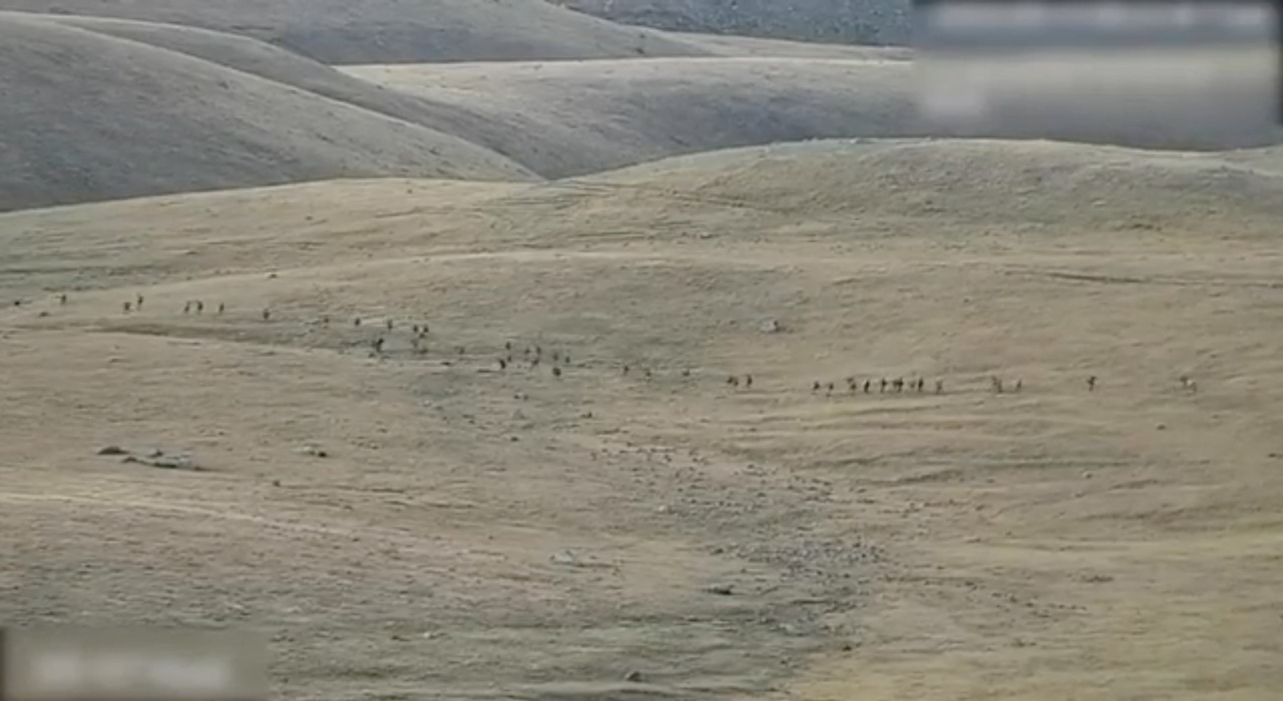 An Armenian Defence Ministry handout appears to show Azerbaijani soldiers in the border region.