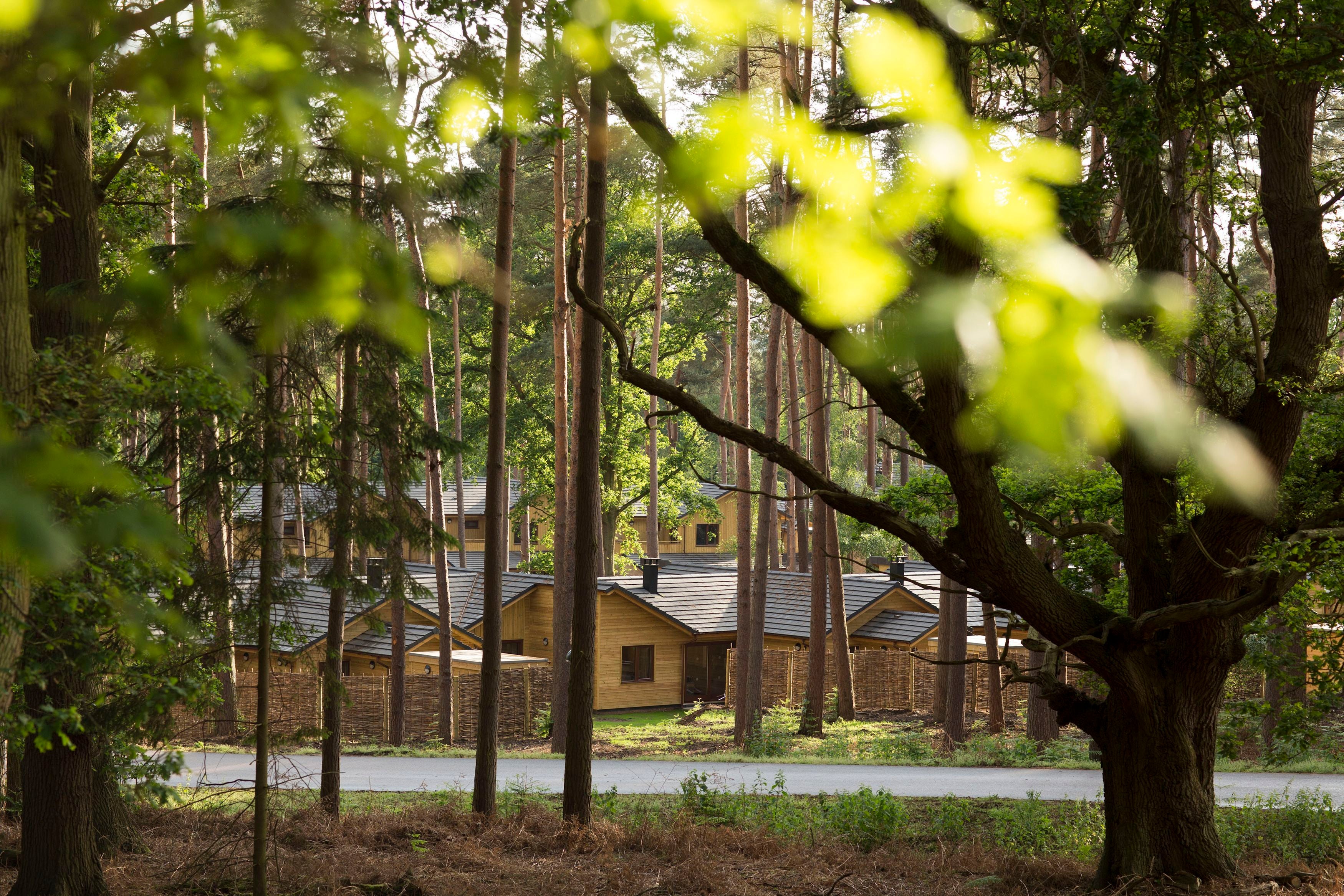 Center Parcs in Longford Forest