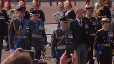 Prince Harry and Prince Andrew wear morning suits as they follow Queen’s coffin procession