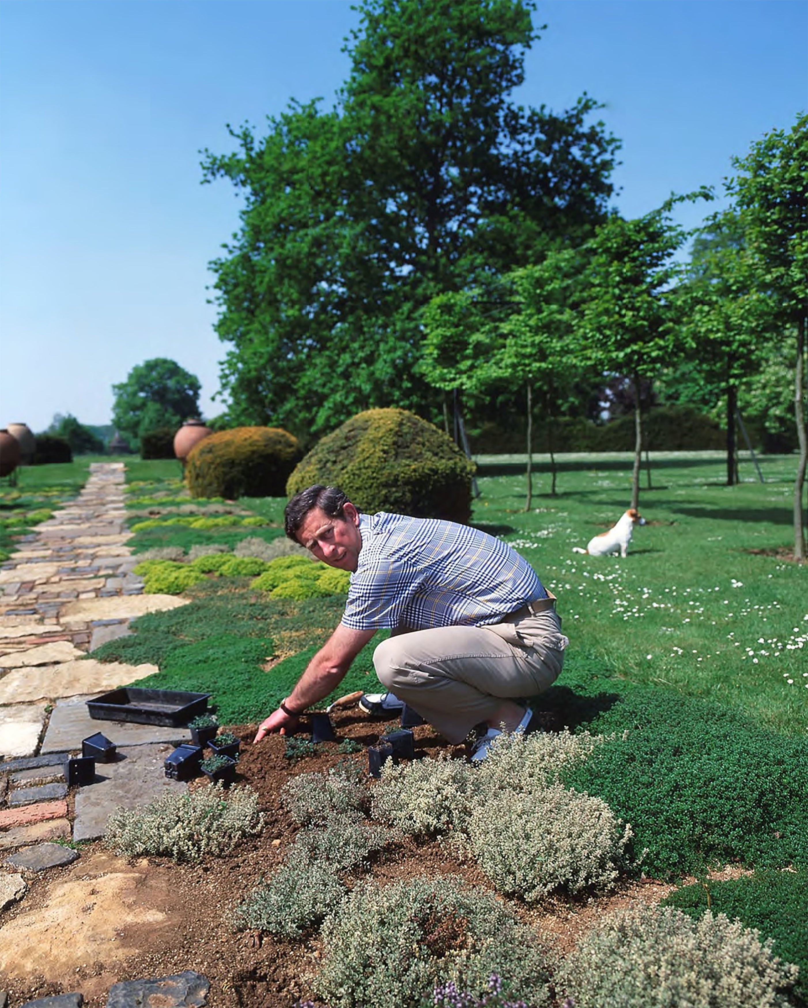 Charles, then the Prince of Wales, planting at Highgrove House (Highgrove Enterprises/PA)