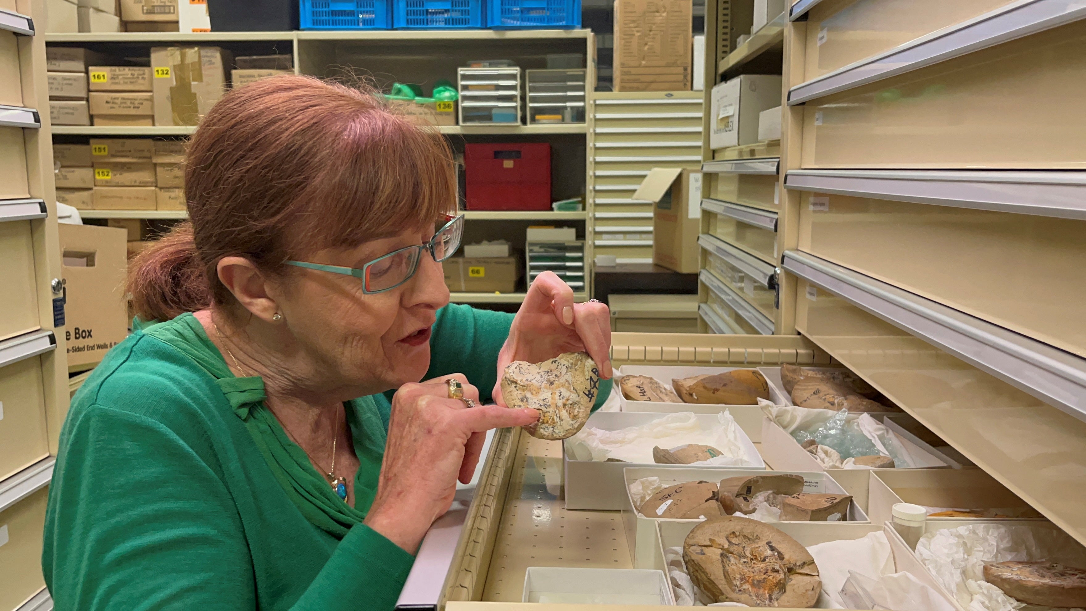 Professor Kate Trinajstic from Curtin University’s School of Molecular and Life Sciences inspects fish fossils