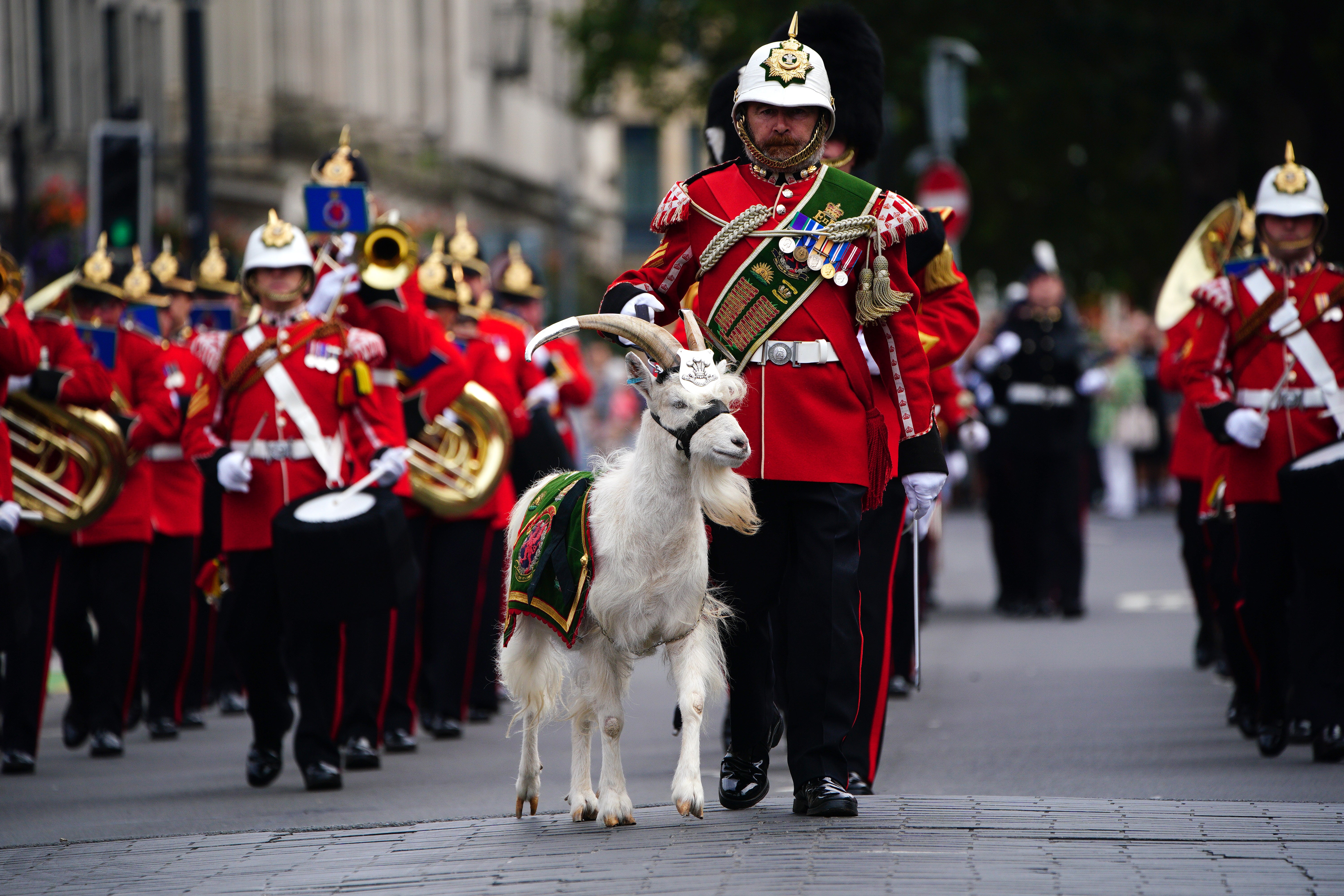 The royal couple will be greeted at the castle by military personnel, including Royal Welsh mascot Lance Corporal Shenkin IV