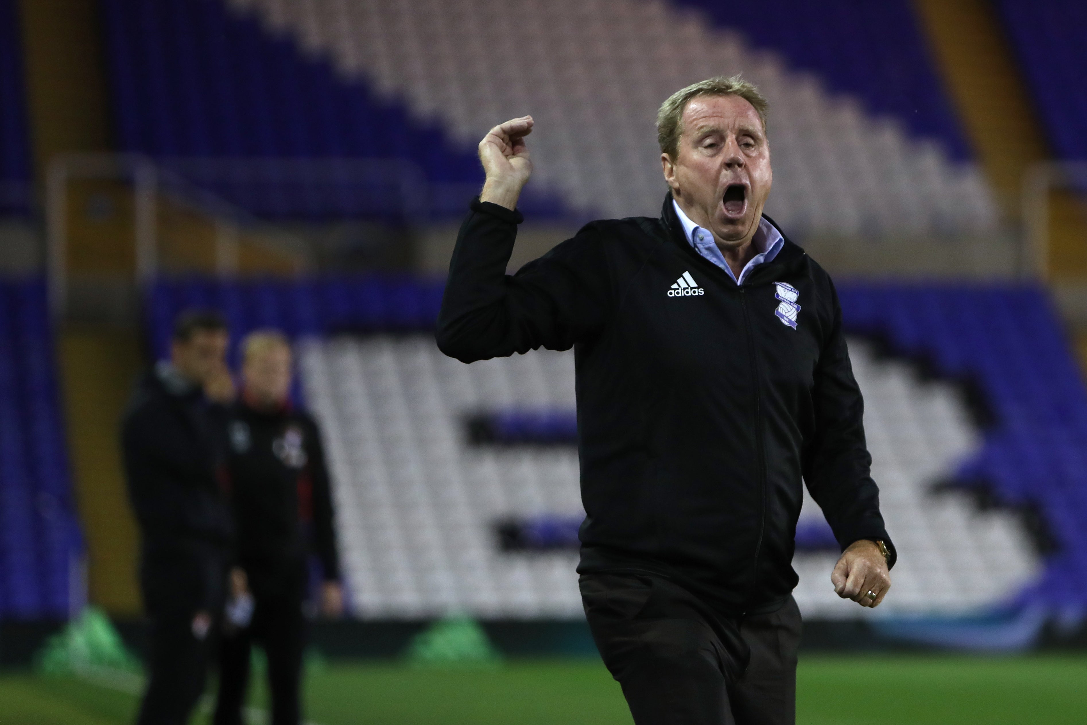 Harry Redknapp retired from management after his spell at Birmingham ended (David Davies/PA)