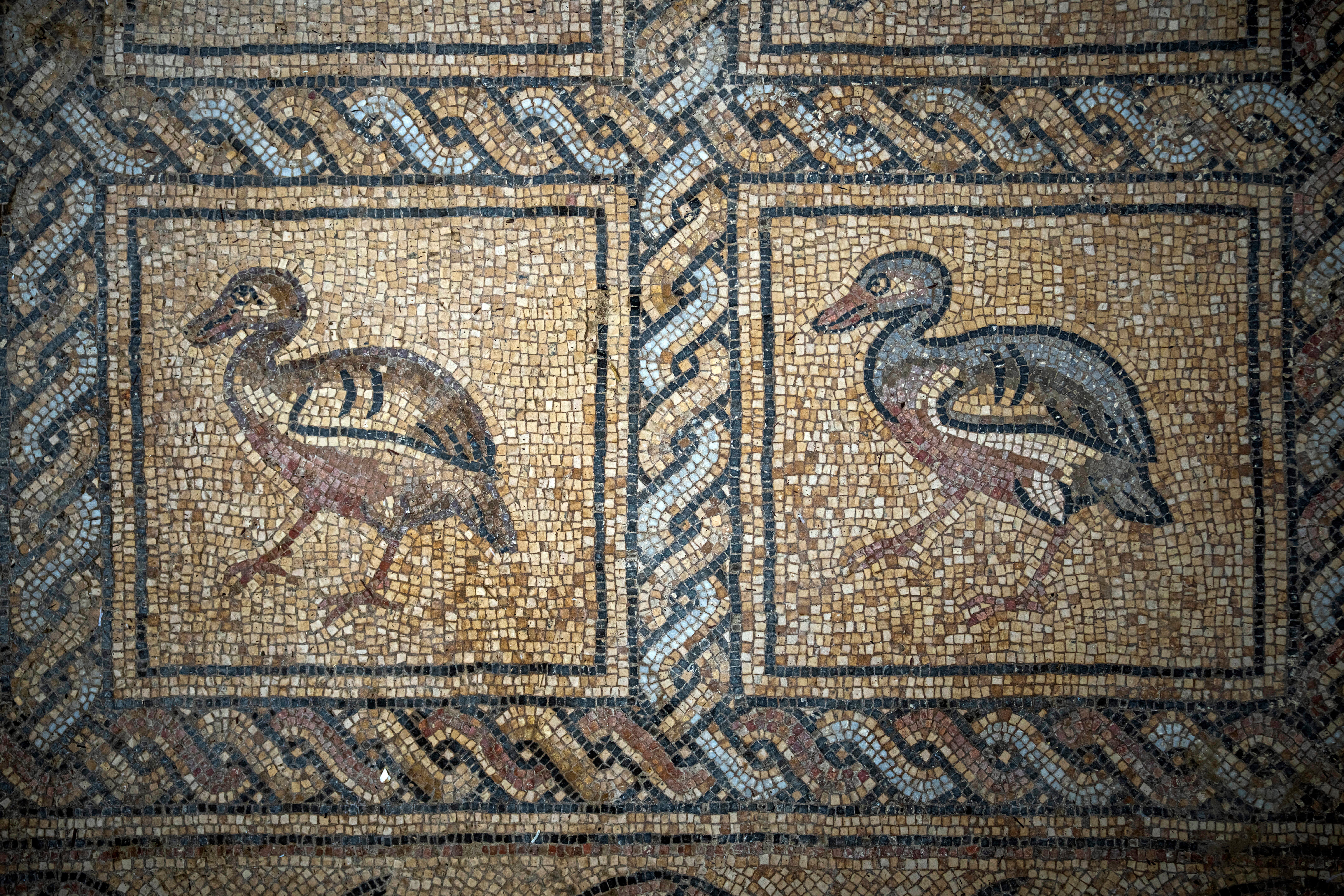 Gaza Ancient Mosaic