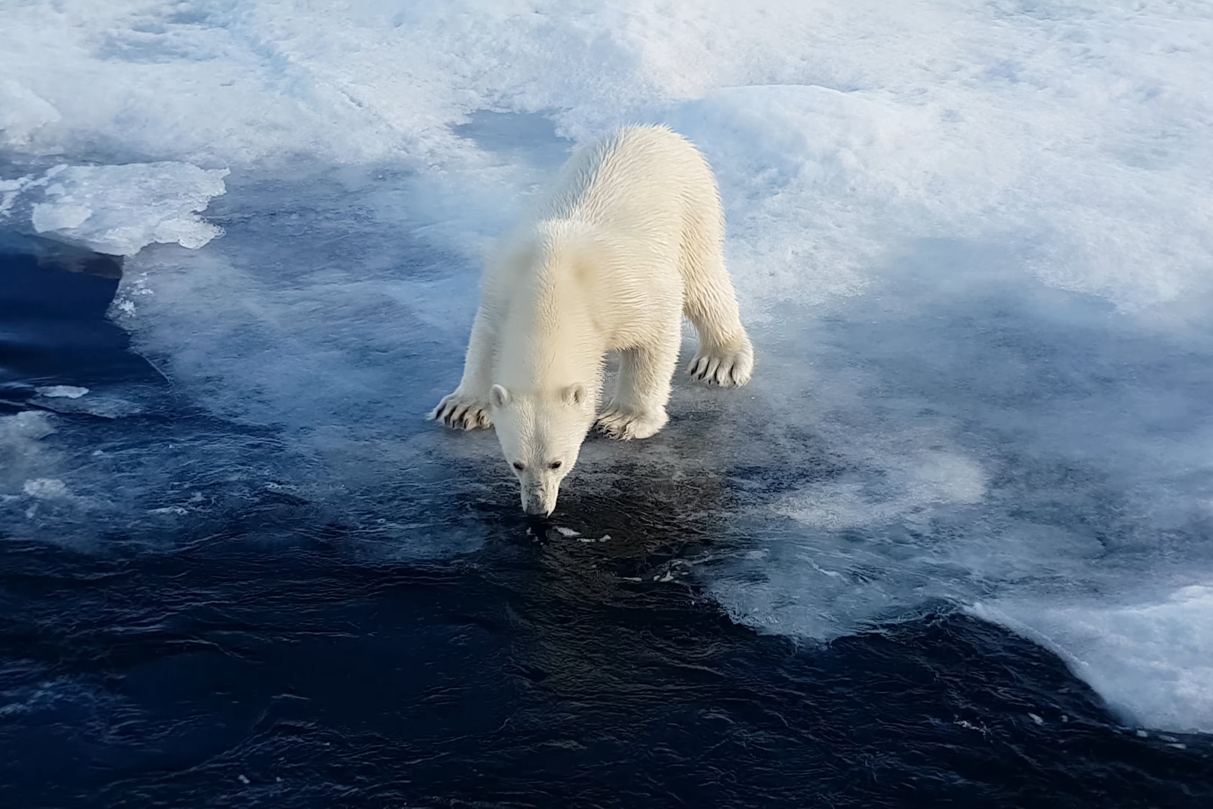 New proposal set to target the issue of rising sea levels