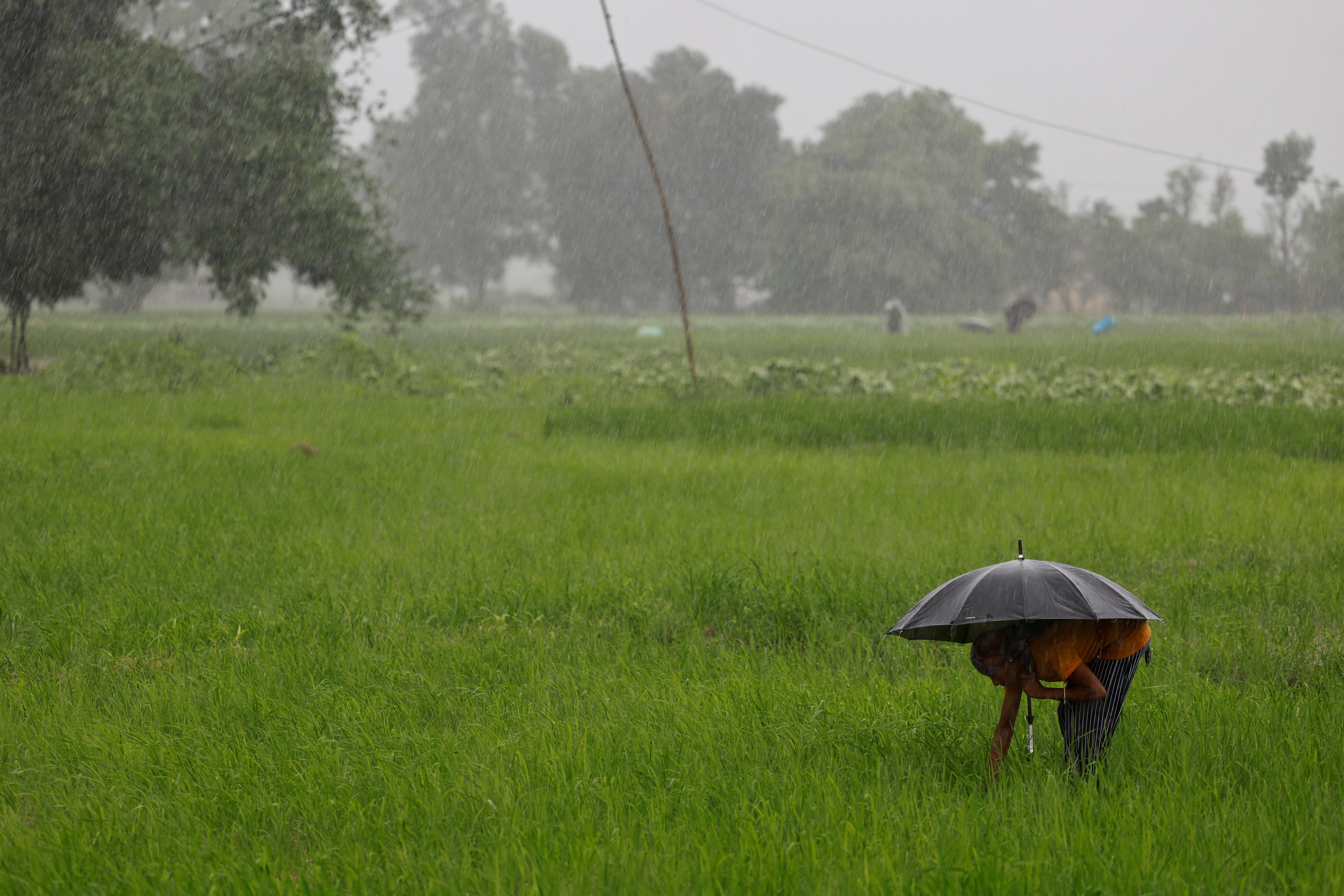 Parwati works in a field outside her house in Punarbas