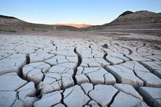 339 wildfires and 10 million people at risk of floods: Climate hazards in the US today