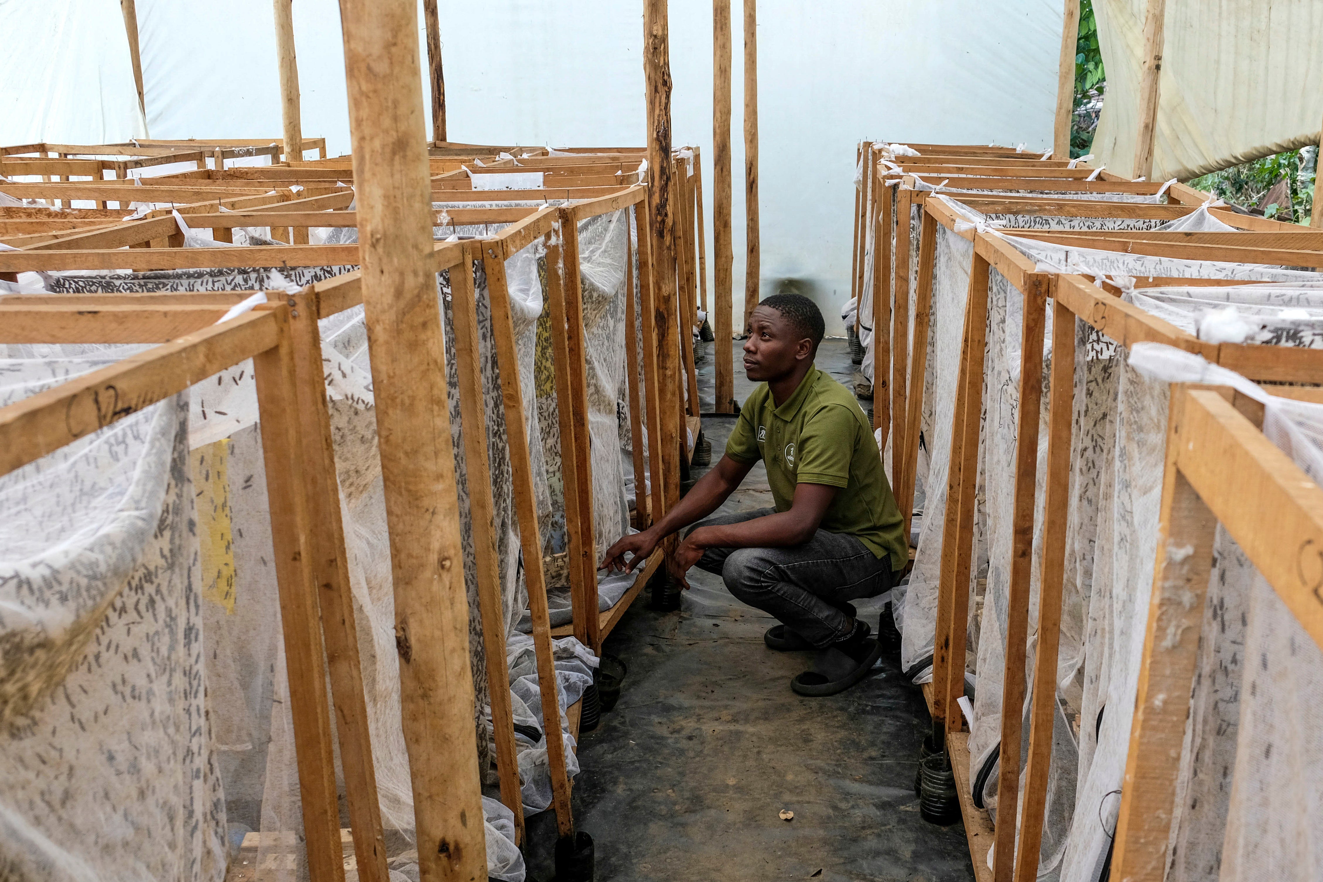 Uganda Ukraine War Organic Fertilizer