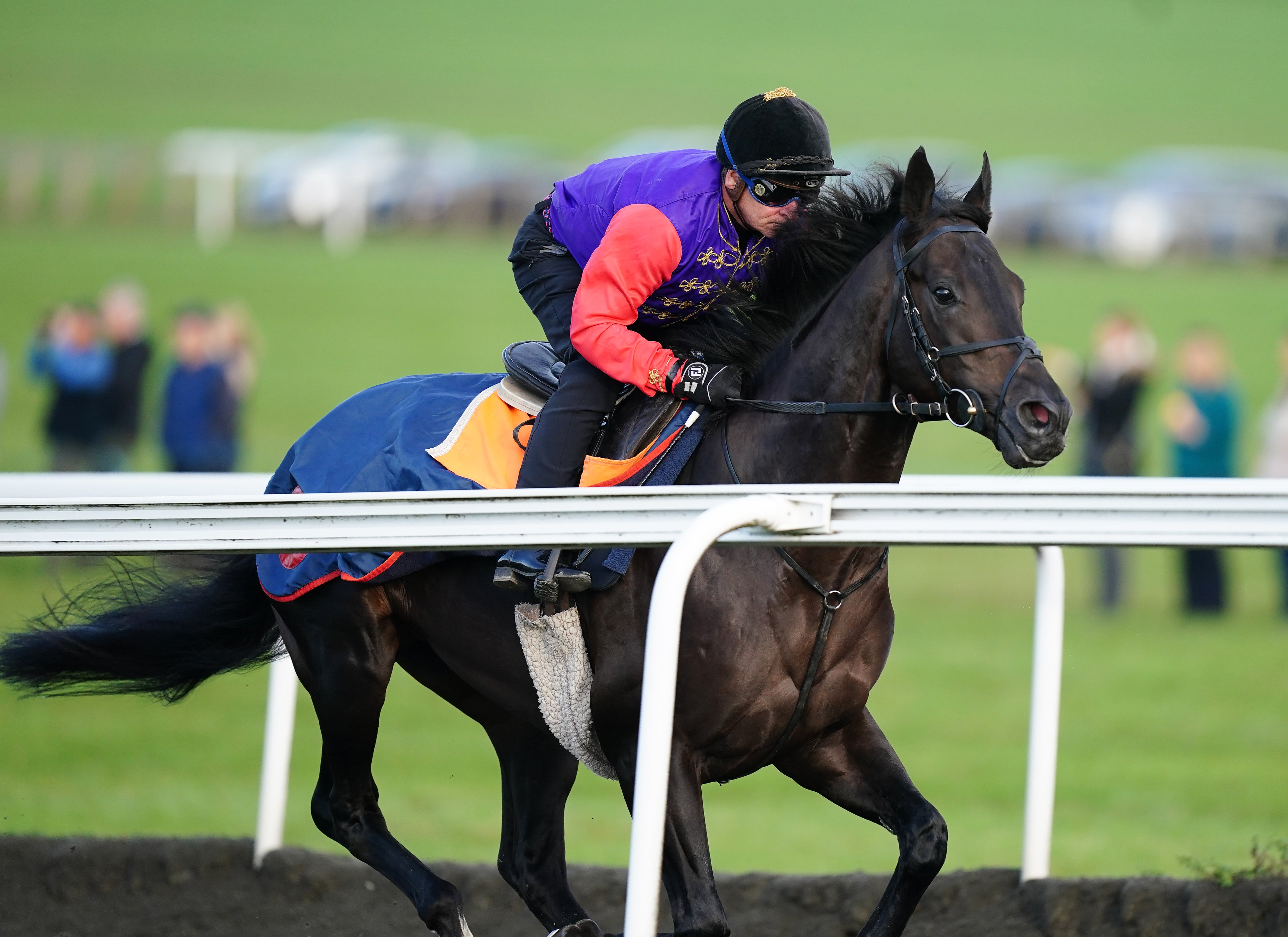 The Queen’s horse Educator appeared on Sunday morning (Mike Egerton/PA)