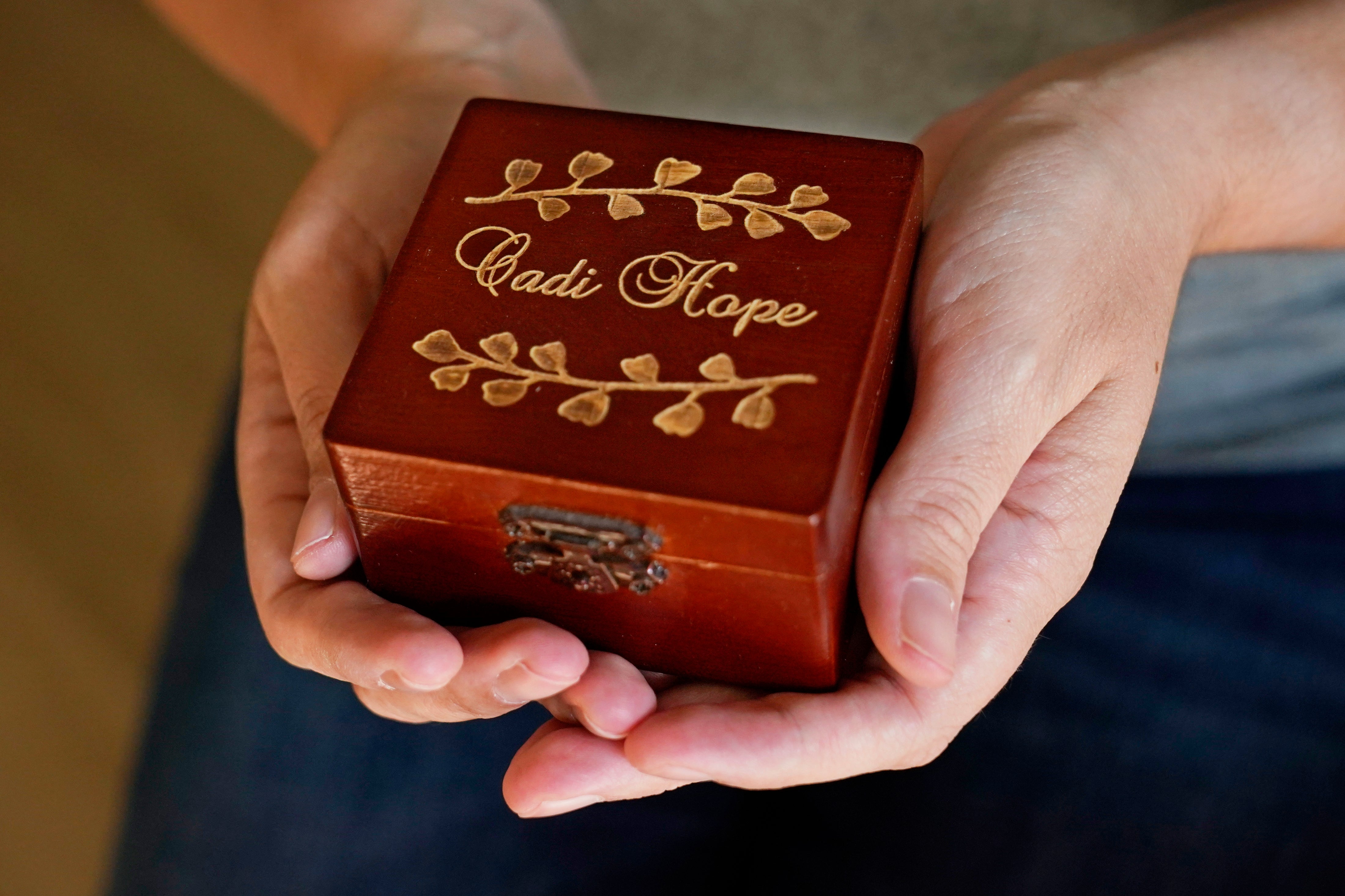 Abortion Medical Terminations