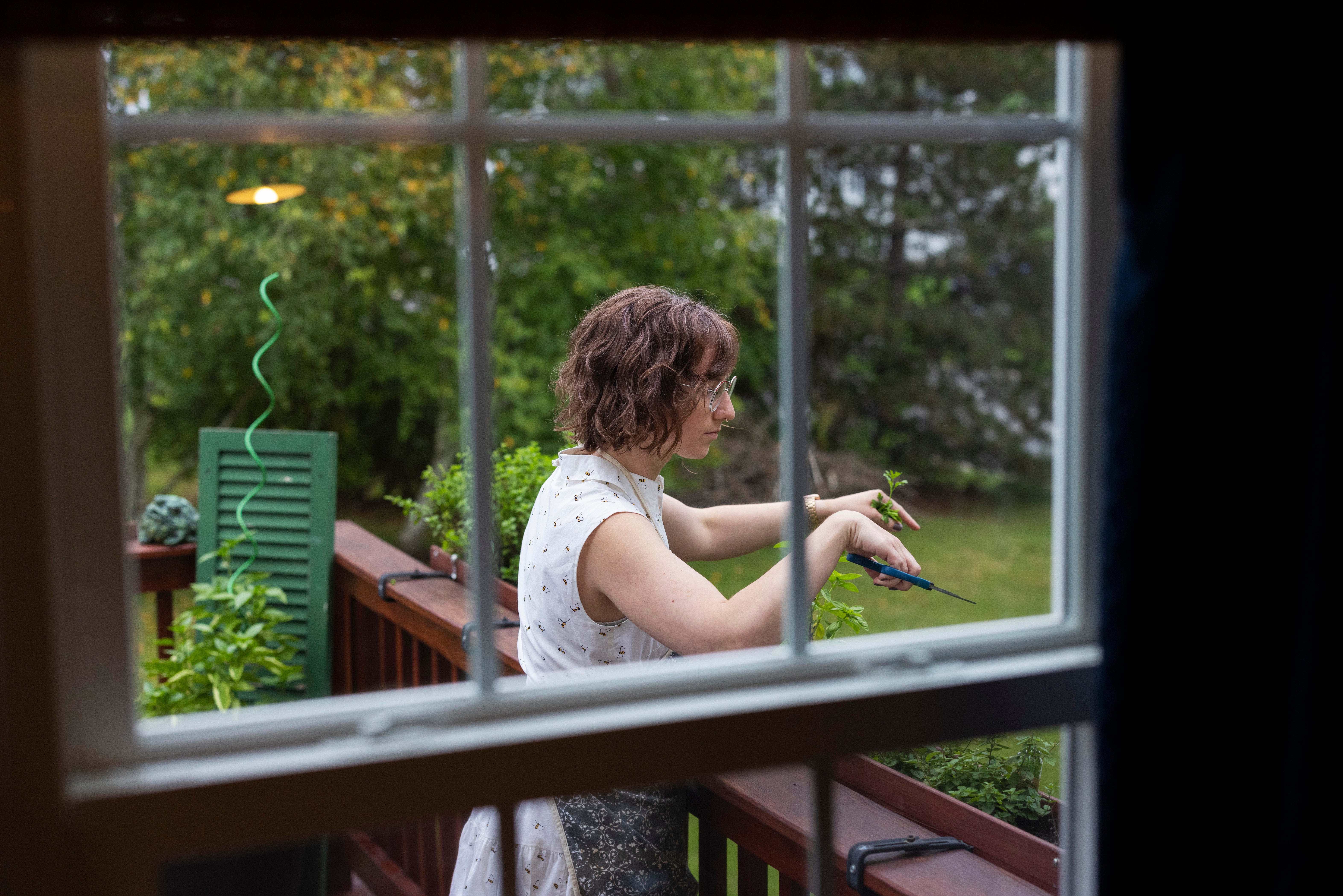 Abortion Medical Terminations