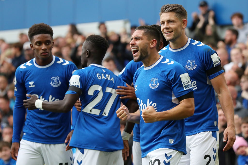 Everton celebrate after scoring their only goal against West Ham