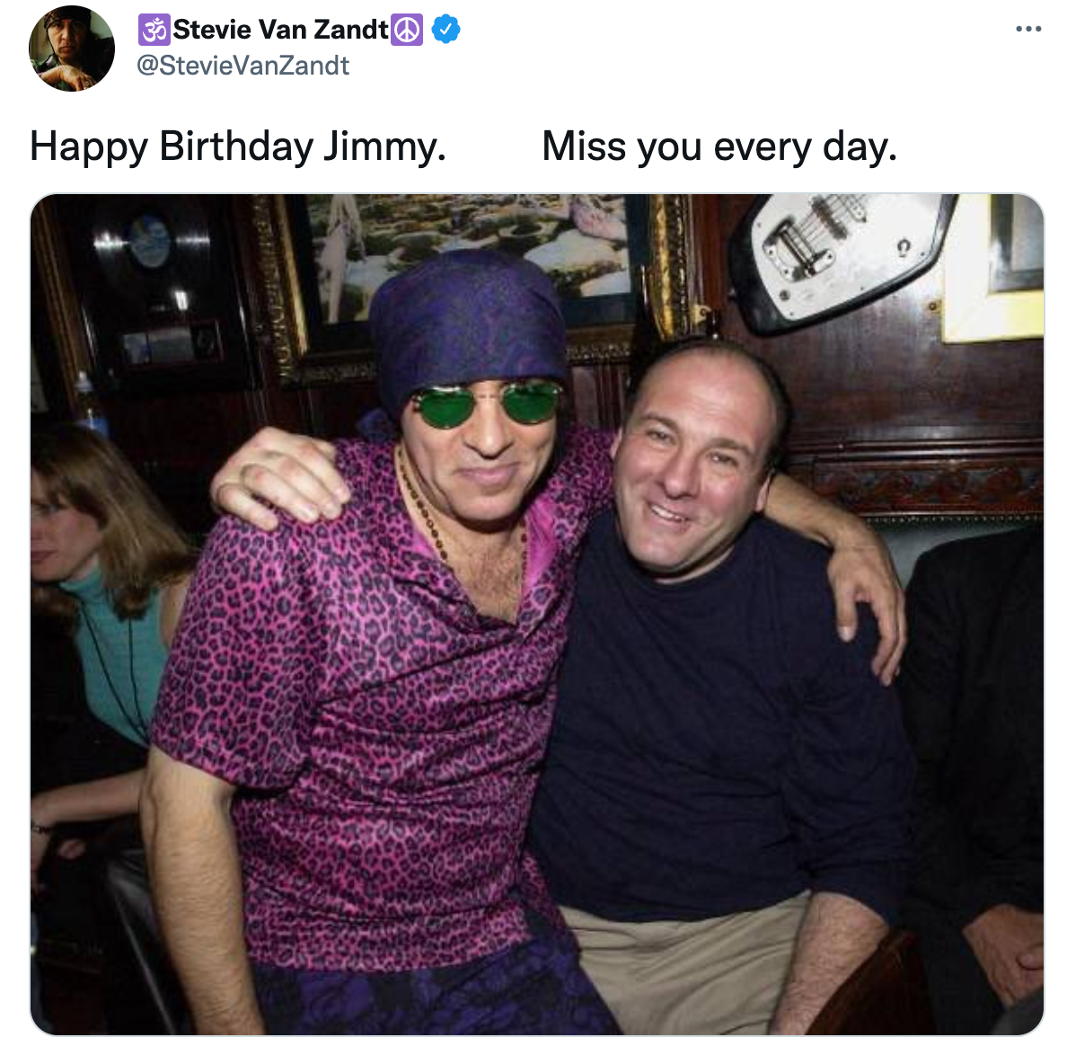 Van Zandt posts a tribute to James Gandolfini