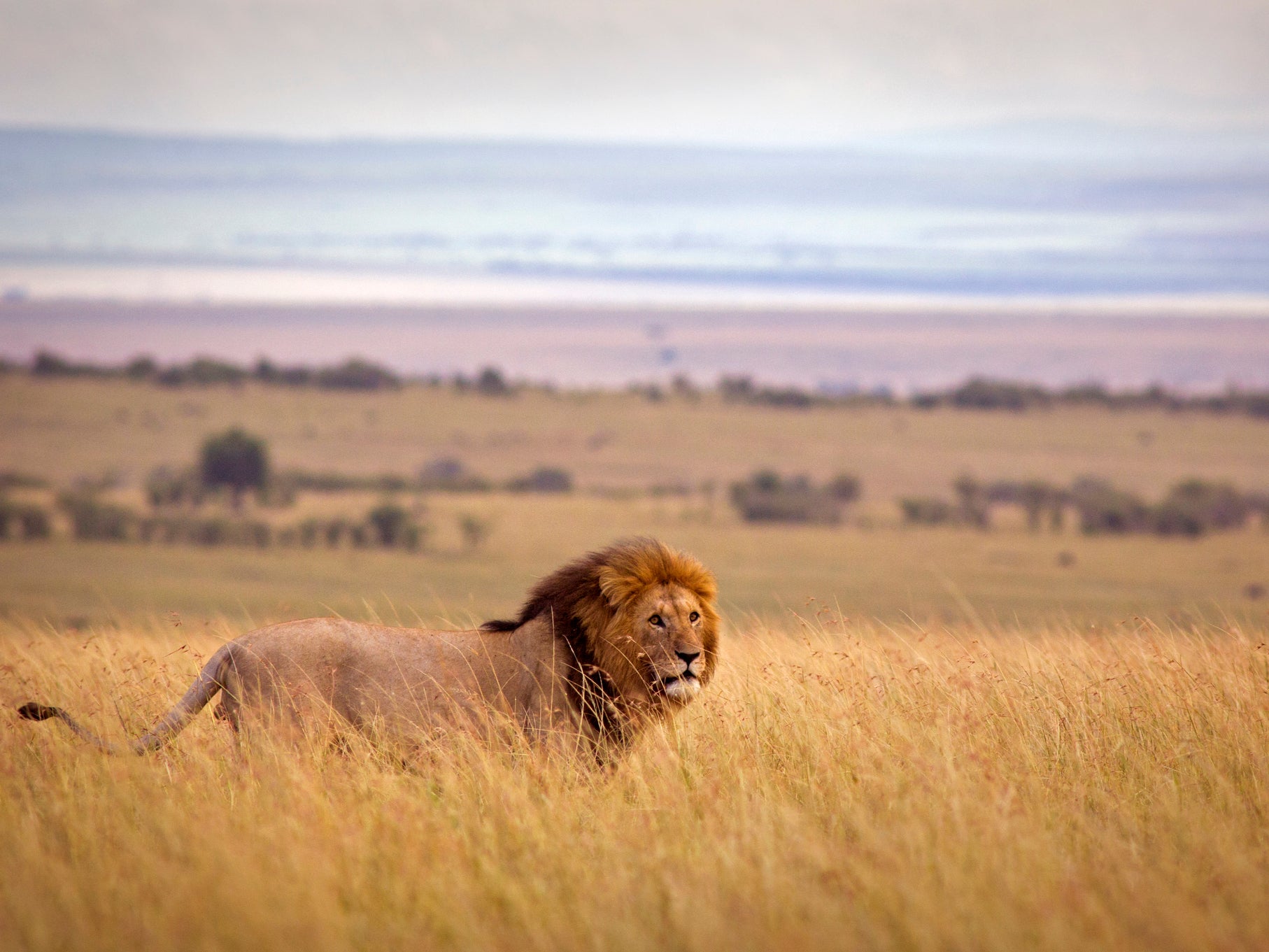 I’d like to go on a safari trip – where do you suggest?