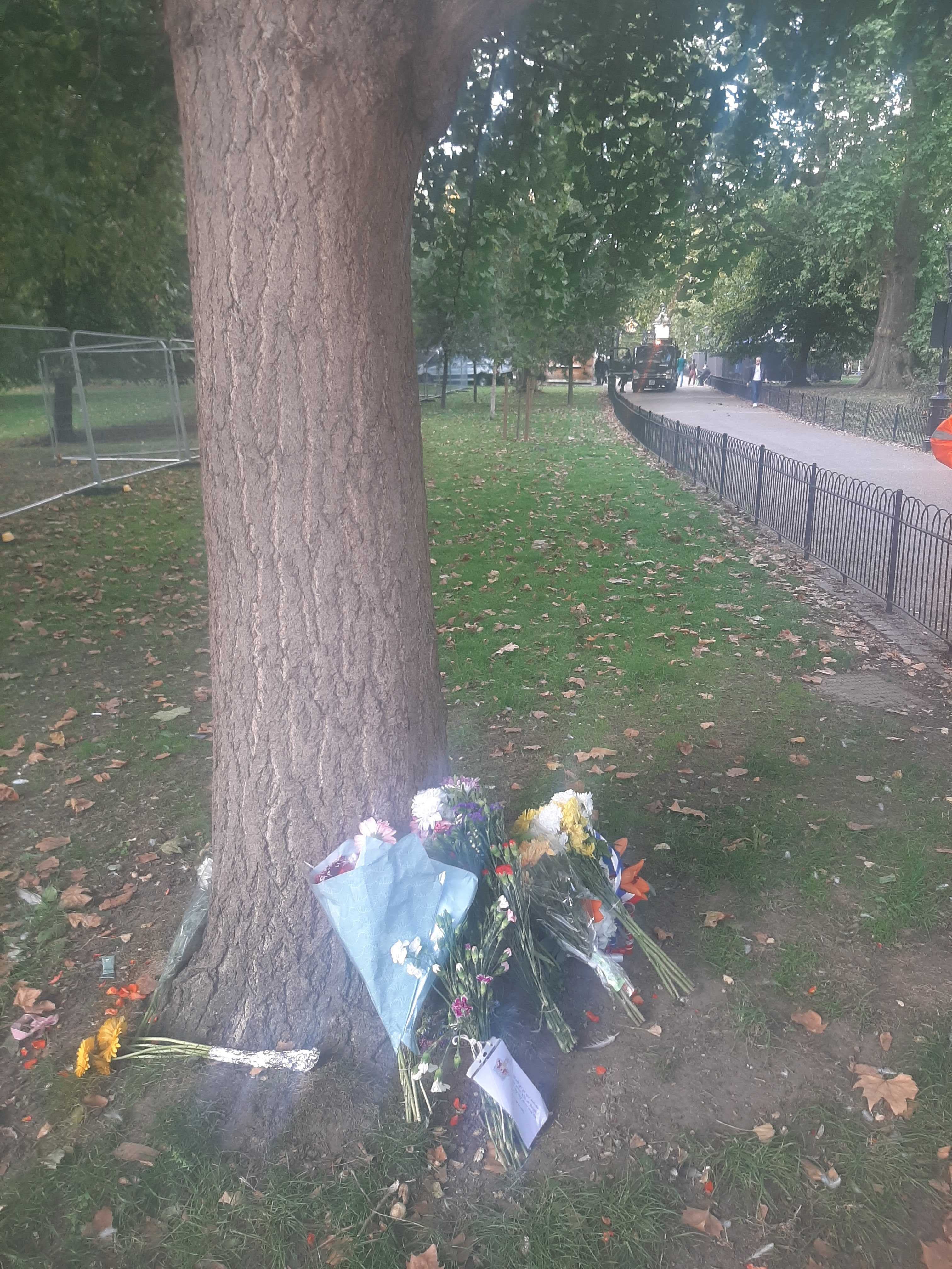 All the flowers will eventually be processed for composting at Kensington Gardens