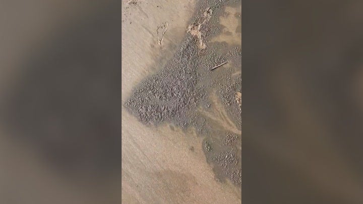 Woman claims sea ‘stinks of poo’ as children paddle in water at Huttoft beach