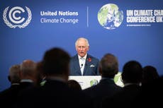 Constitution stops Charles becoming Britain's 'green' king