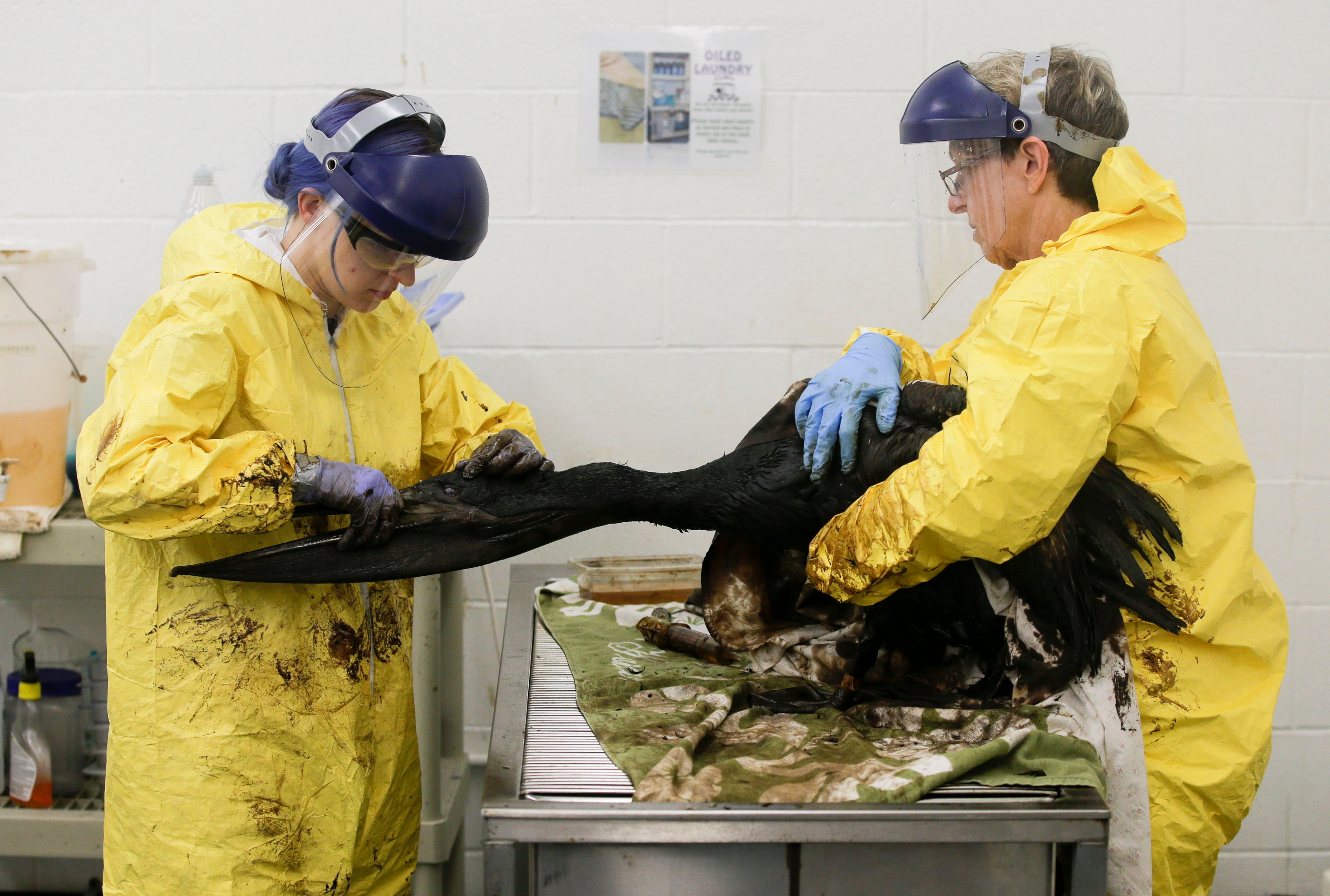 California Oil Spill