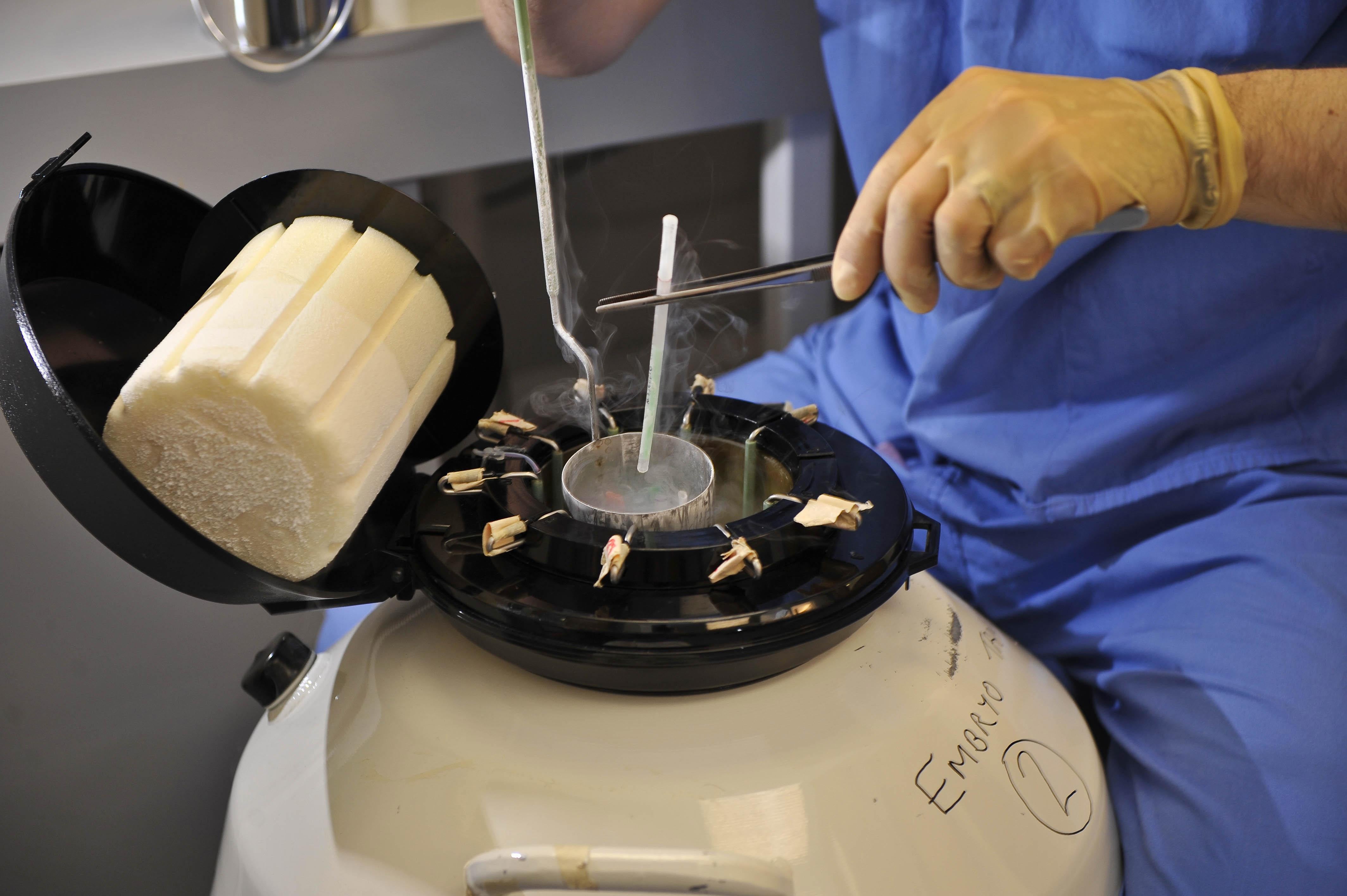 IVF treatment (Ben Birchall/PA)