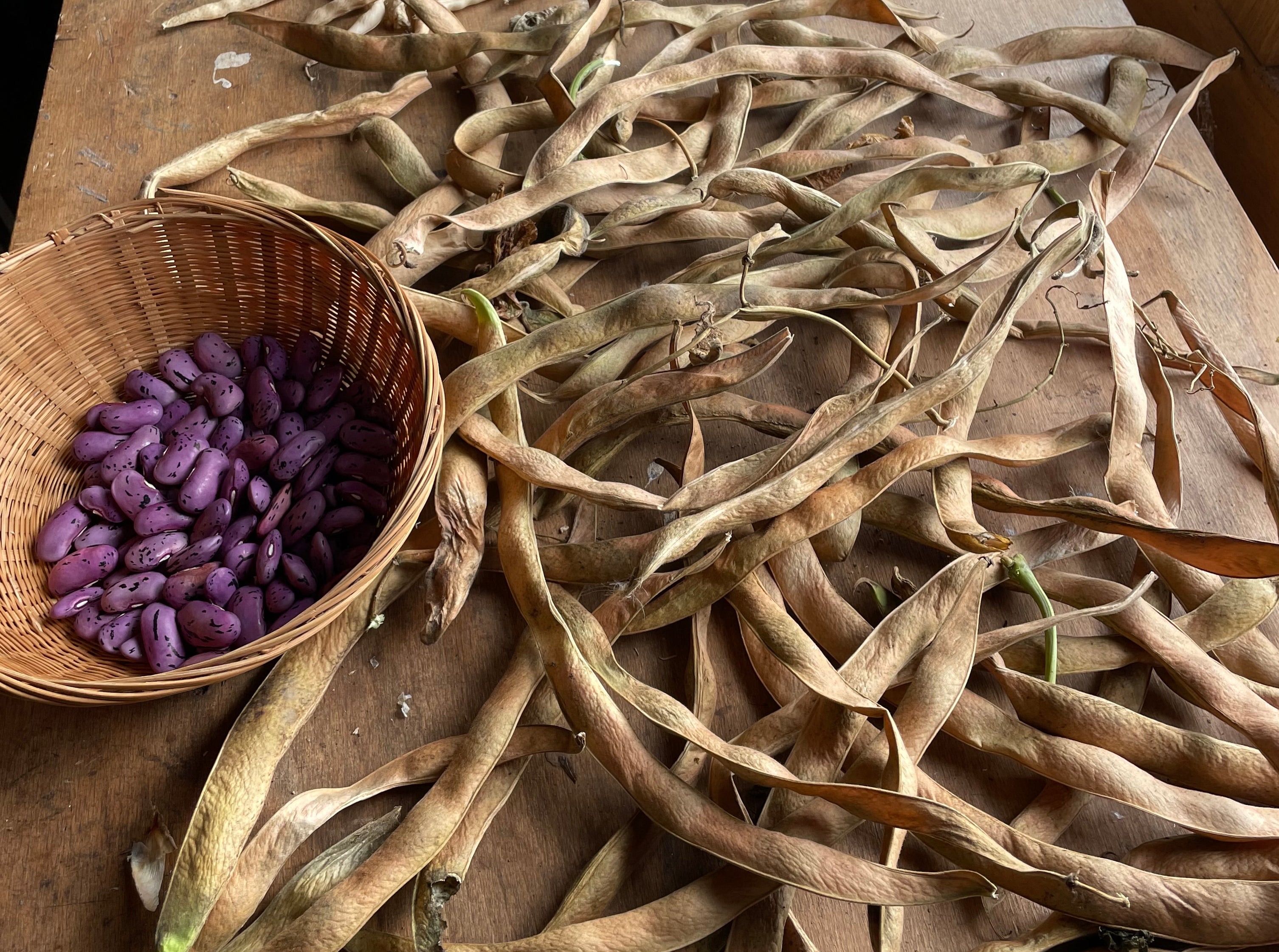 How to save seeds from vegetables (Adam Alexander/PA)