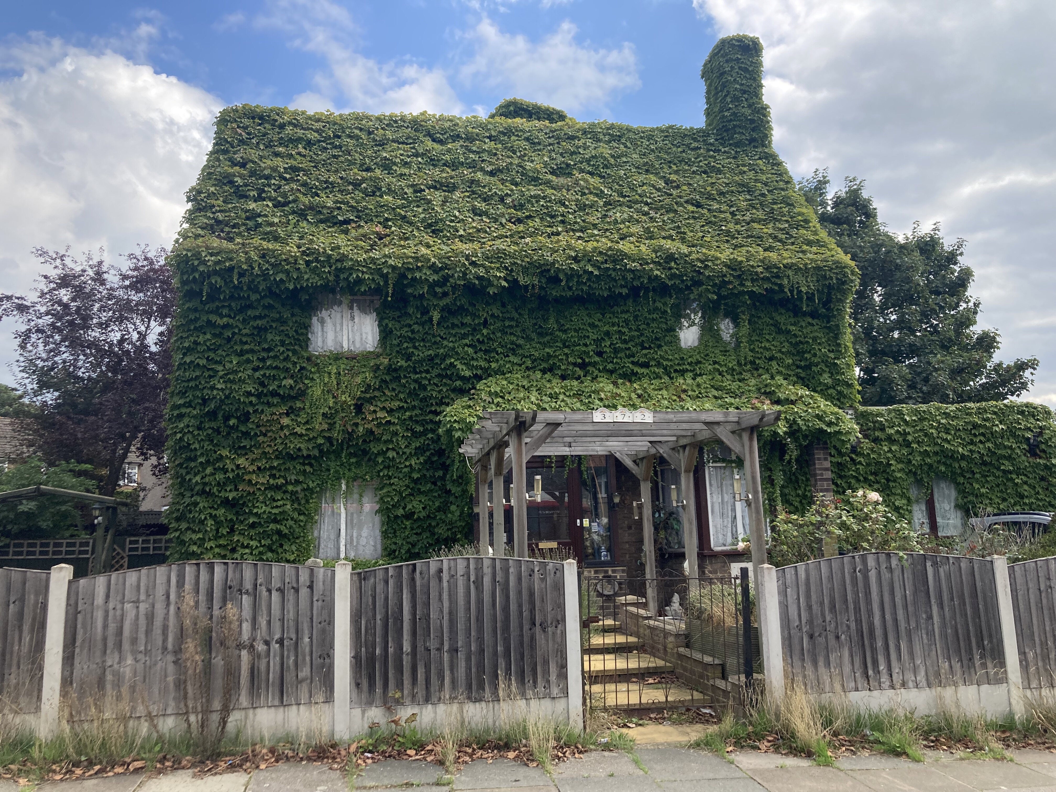 “We think it acts as natural insulation,” says Michael Lye, 75, about the Virginia creeper plant