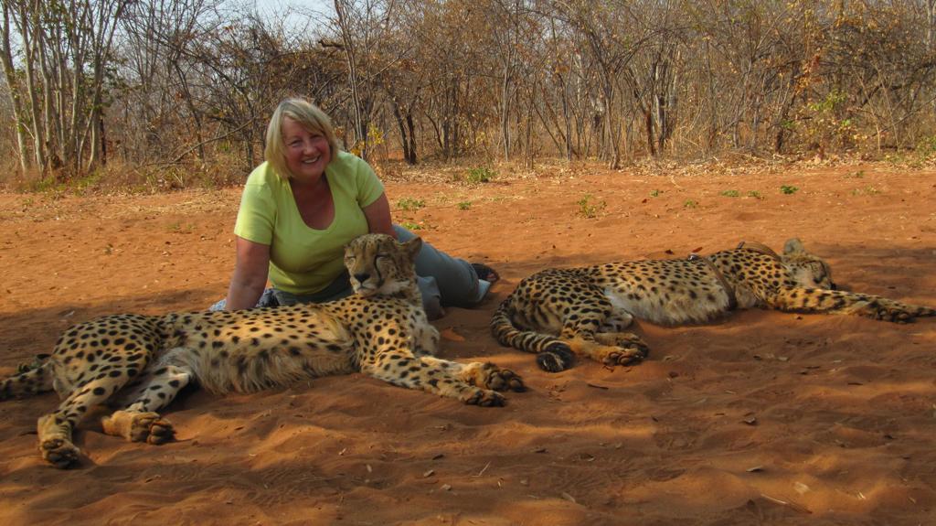 Gill with cheetahs in Zambia