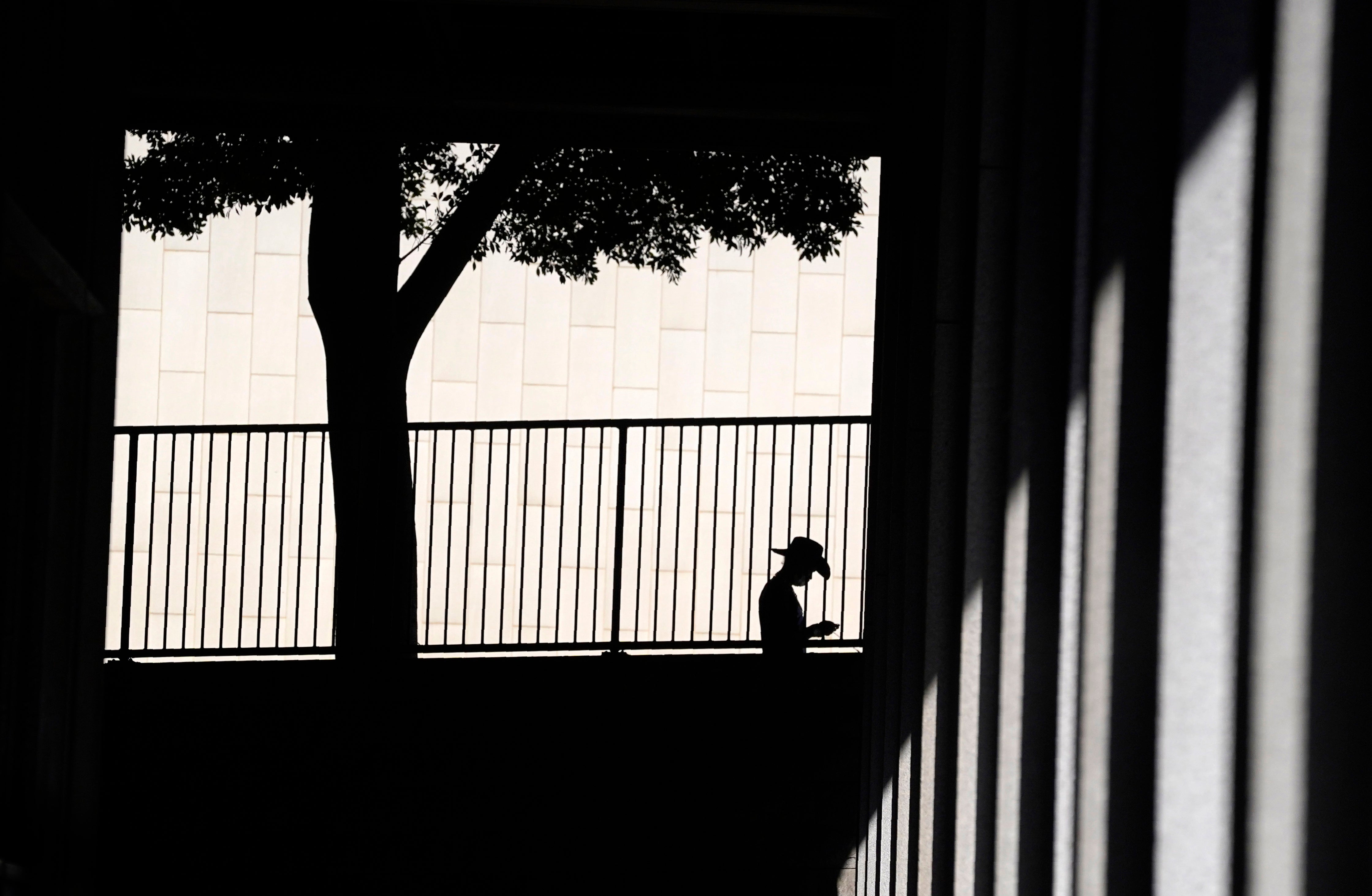 Investigation Tracked Fog Reveal Reax