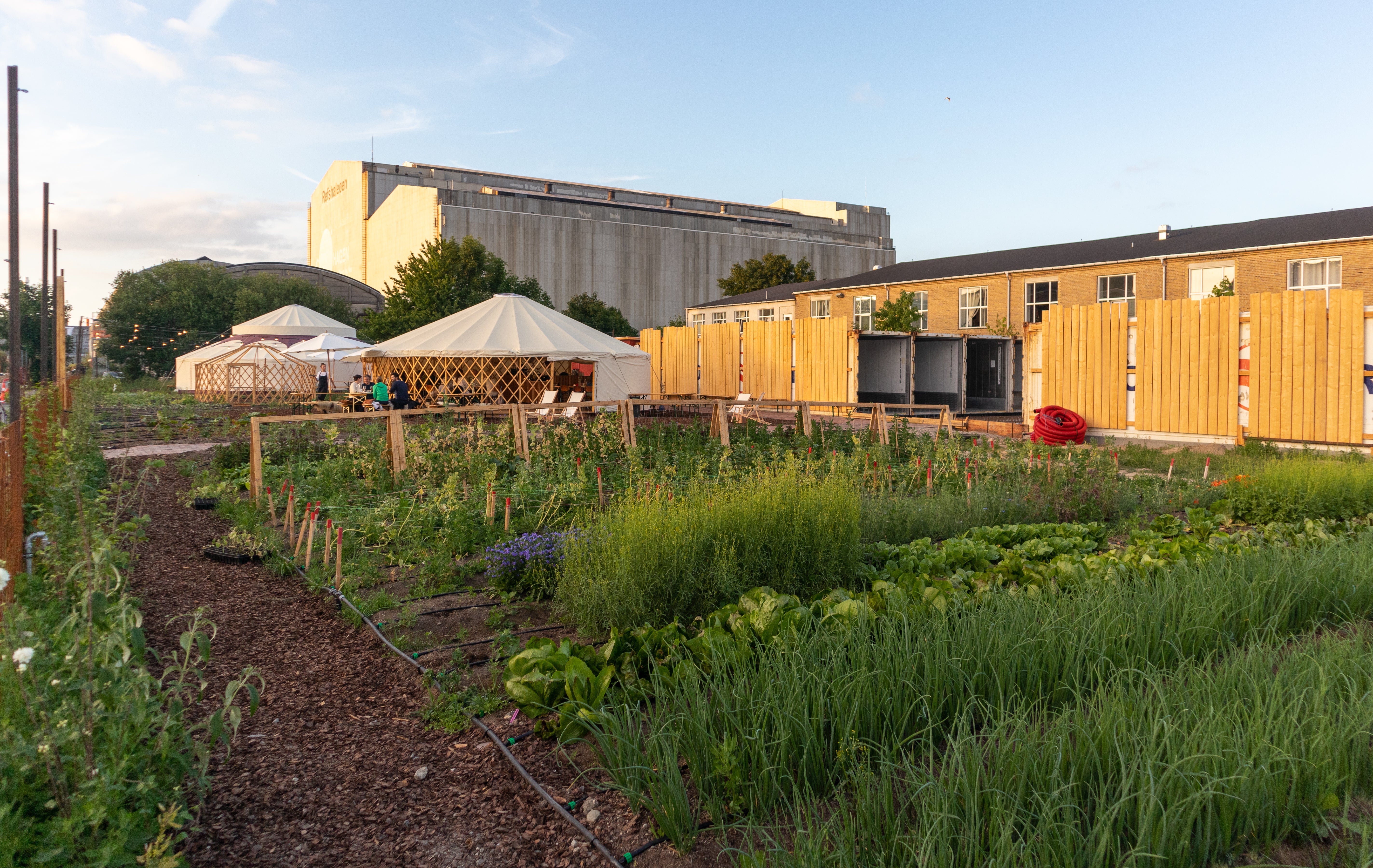 The yurts and vegetable patch at Oens Have