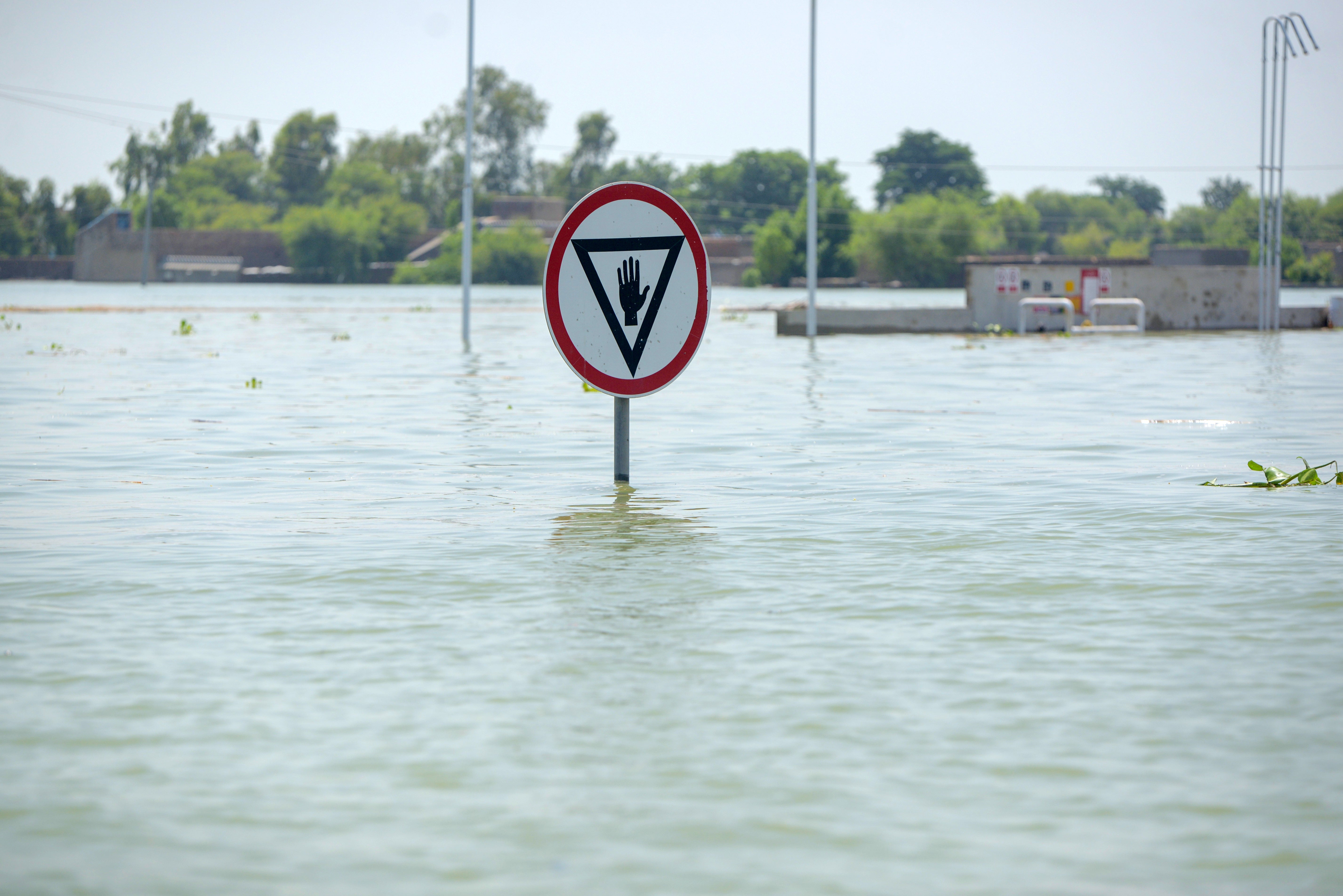 A stop sign appears above floodwater in Khairpur Nathan Shah