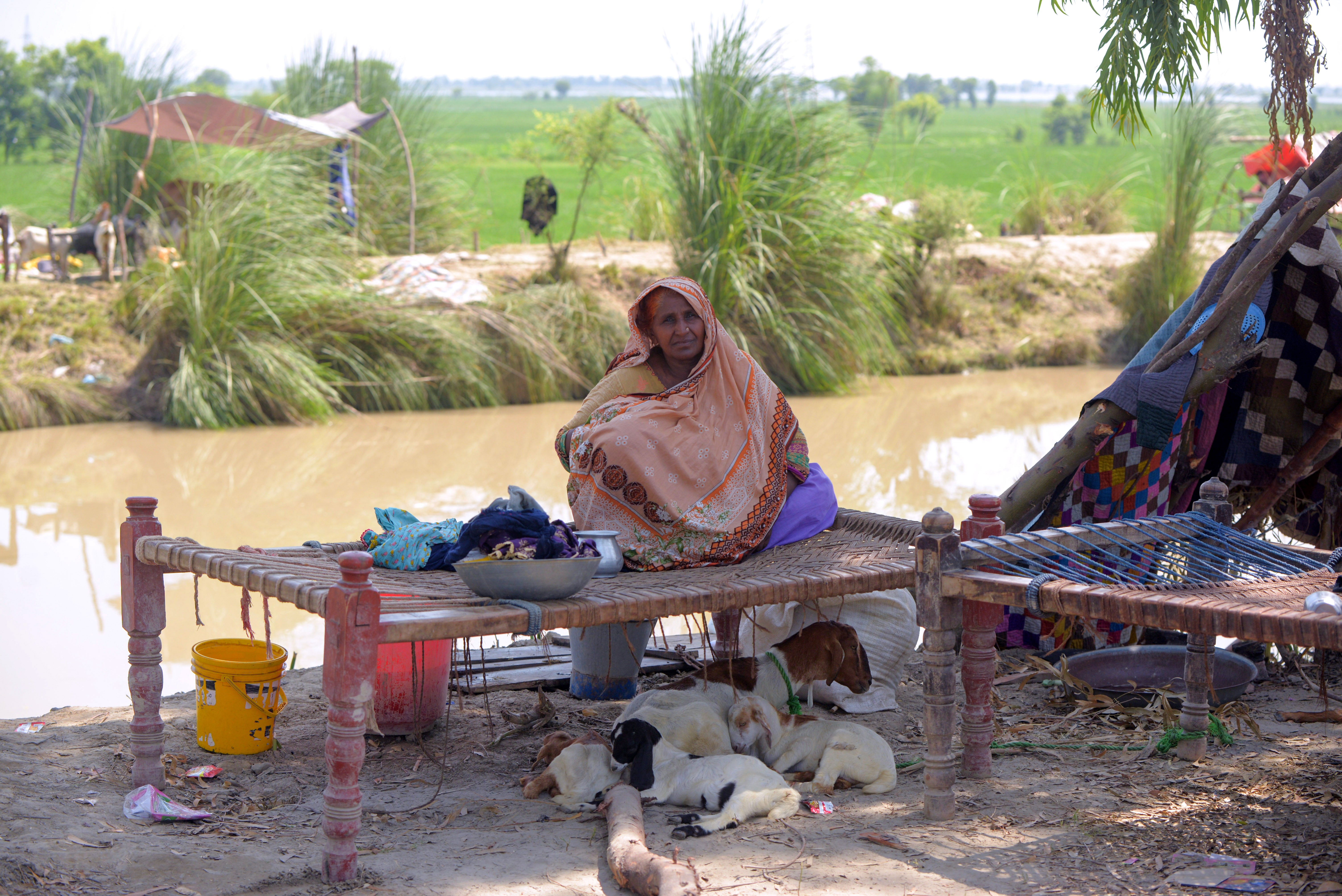 Arbab, 50, sits in her temporary tent in Dadu Sindh