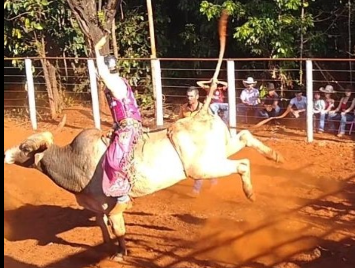 Mr Castilho became a bull riding aficionado at a young age