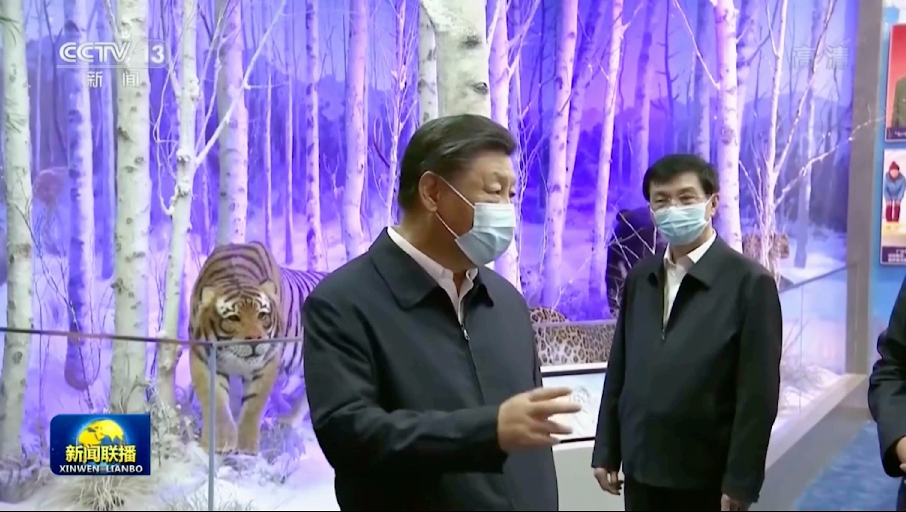 China Politics Xi Reappears