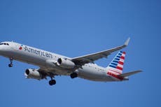 American Airlines passenger hit on head by flying food trolley
