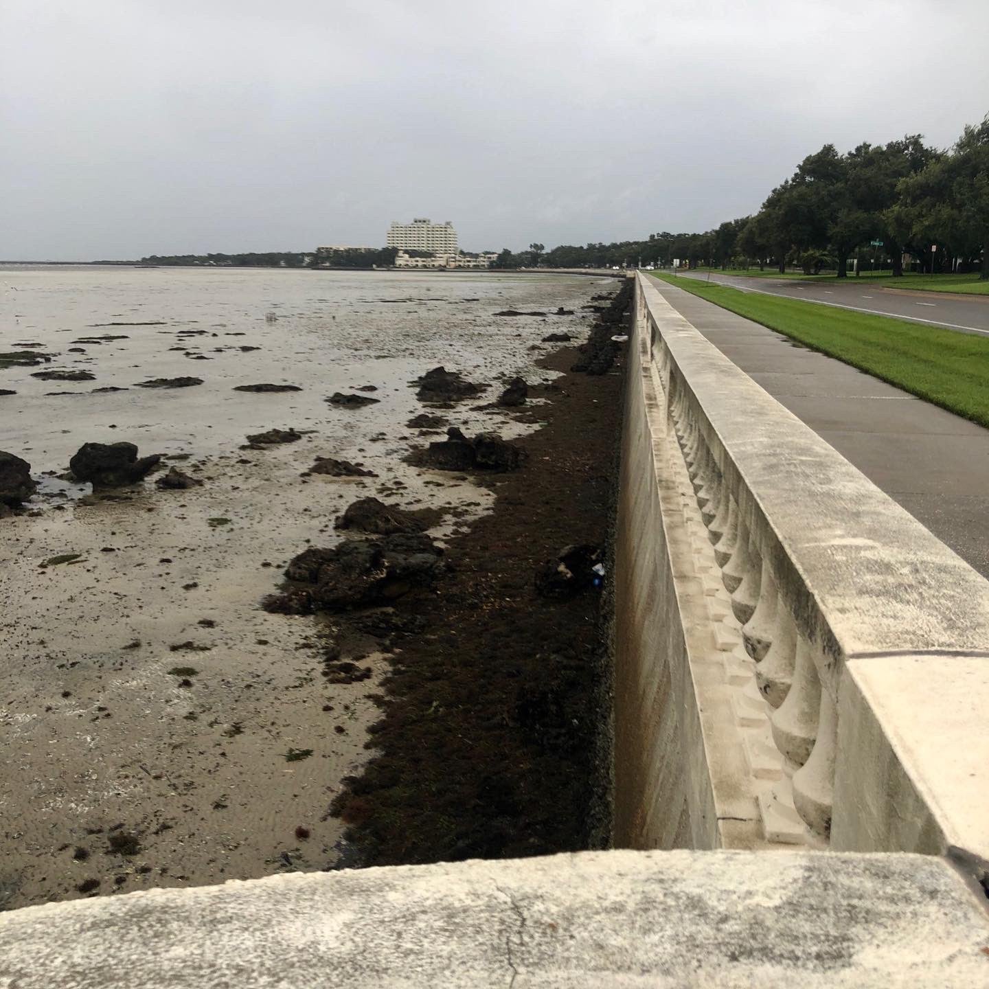 Part of Tampa Bay sits empty as waters rushed out with Hurricane Ian incoming along the Gulf of Mexico