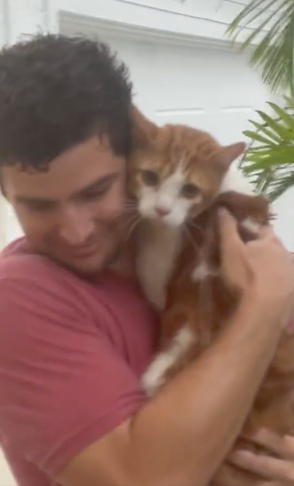 Megan Cruz Scavo’s boyfriend rescuing the cat