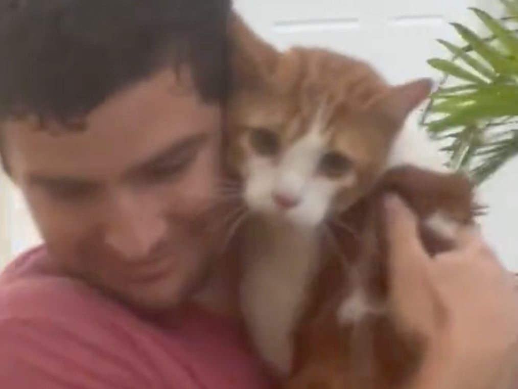 Man goes viral for adorable cat rescue from Hurricane Ian: ‘He’s everyone’s boyfriend now’ 