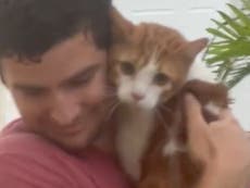 Man goes viral for adorable cat rescue from Hurricane Ian: ‘He’s everyone’s boyfriend now’ 